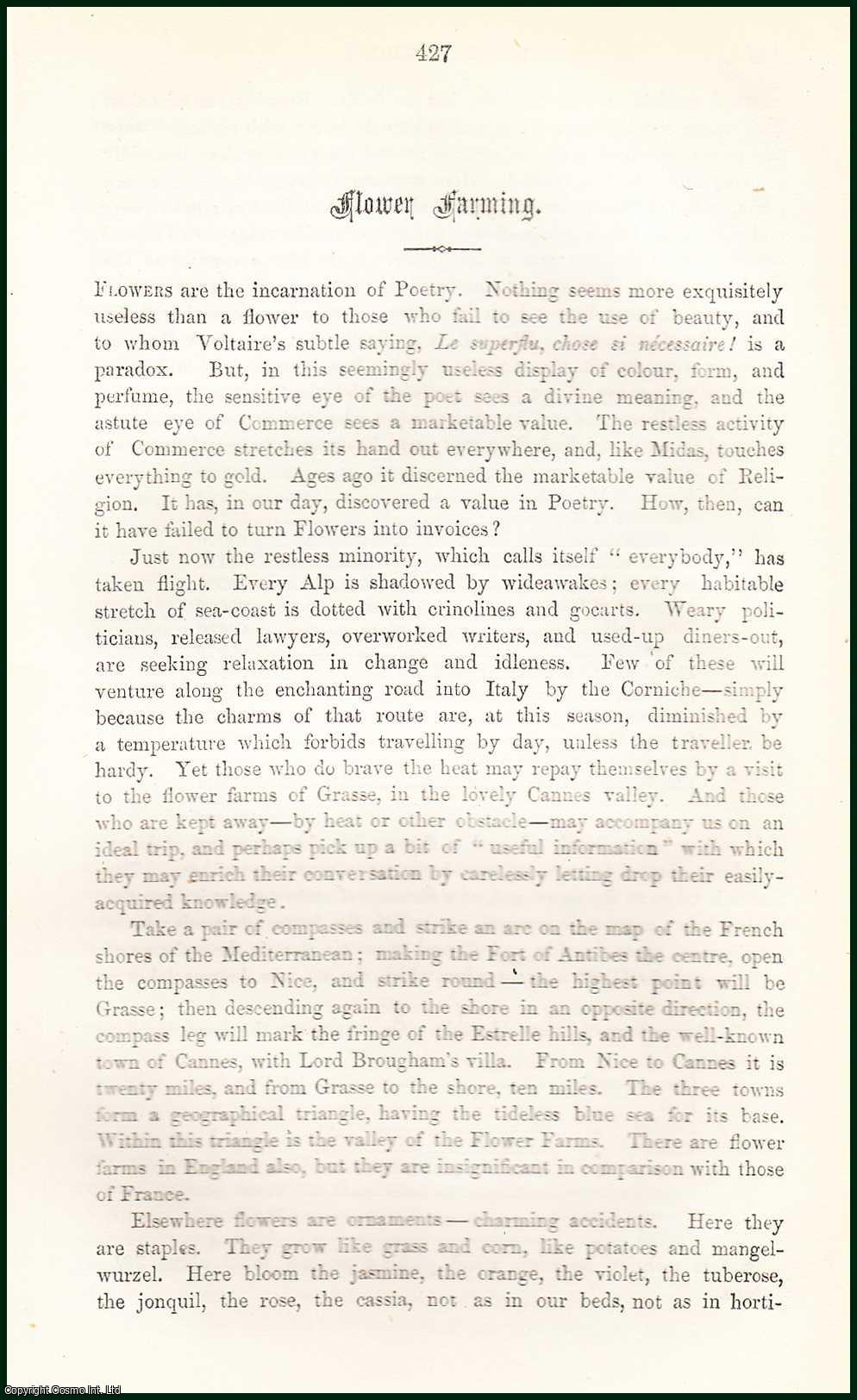 LEWES, G. H. - Flower Farming. A rare article from the Cornhill Magazine, 1864.
