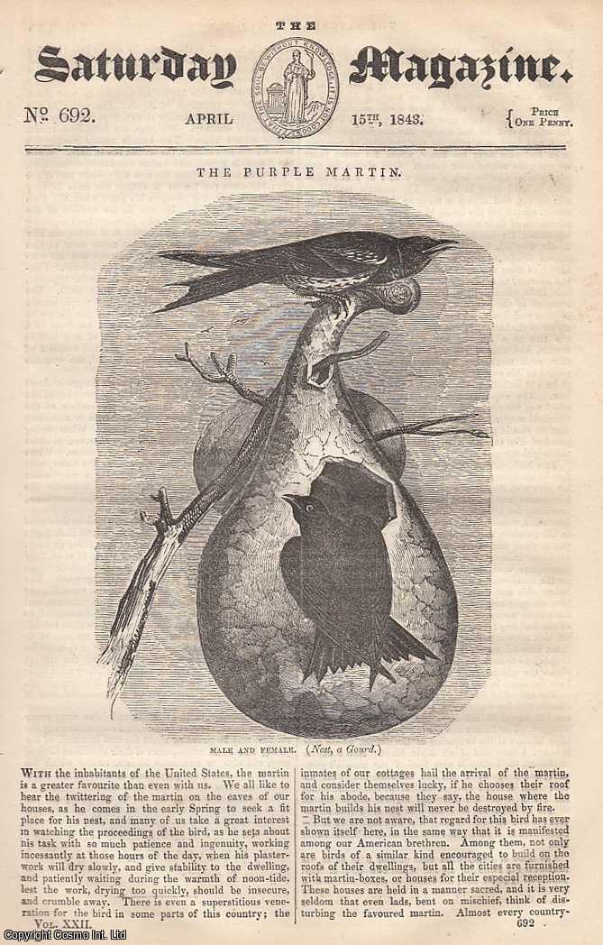 ---. - The Purple Martin (Bird); History of Mr. Read, and His Invention of The Stomach-Pump; Easy Lessons on Reasoning: Lesson 5; Queen Eleanor's Crosses, part 5, etc. Issue No. 692. April, 1843. A complete rare weekly issue of the Saturday Magazine, 1843.