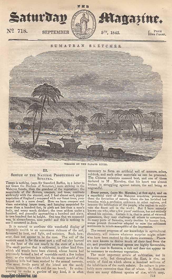 ---. - Sumatran Sketches: Sketch of The Natural Productions of Sumatra, part 3; Plant-Like Animals, part 3; The Art of Writing: Albums and Autographs, part 2, etc. Issue No. 718. September, 1843. A complete rare weekly issue of the Saturday Magazine, 1843.