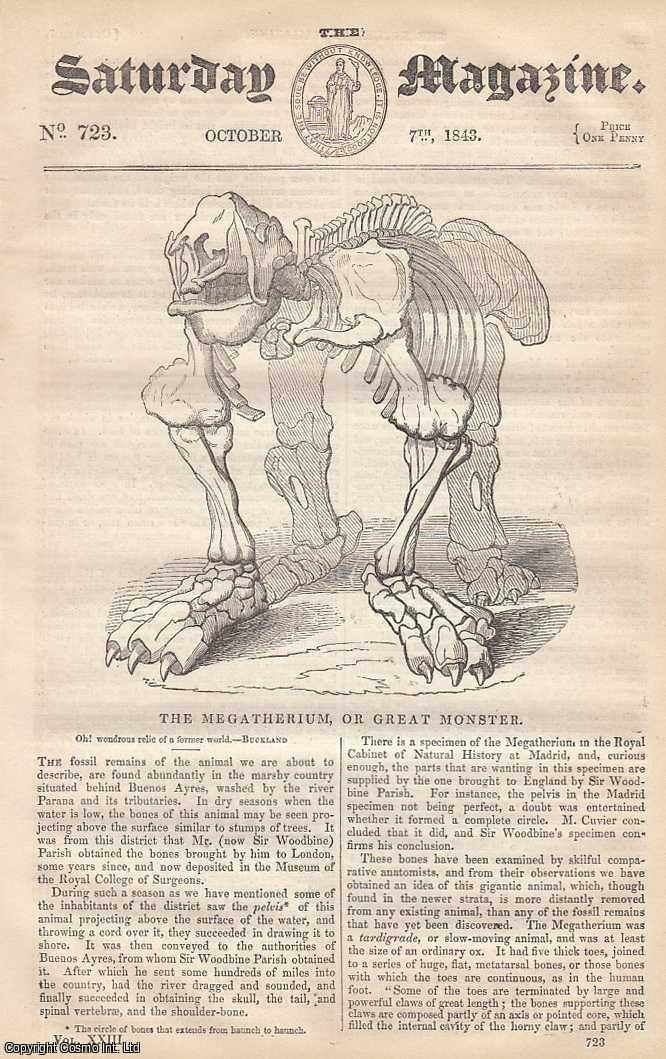 ---. - The Megatherium, or Great Monster; Plant-Like Animals, part 5; Some Account of Ancient and Modern Fairs; The Art of Writing: Modern Systems of Writing.-Mulhauser's Method, etc. Issue No. 723. October, 1843. A complete rare weekly issue of the Saturday Magazine, 1843.