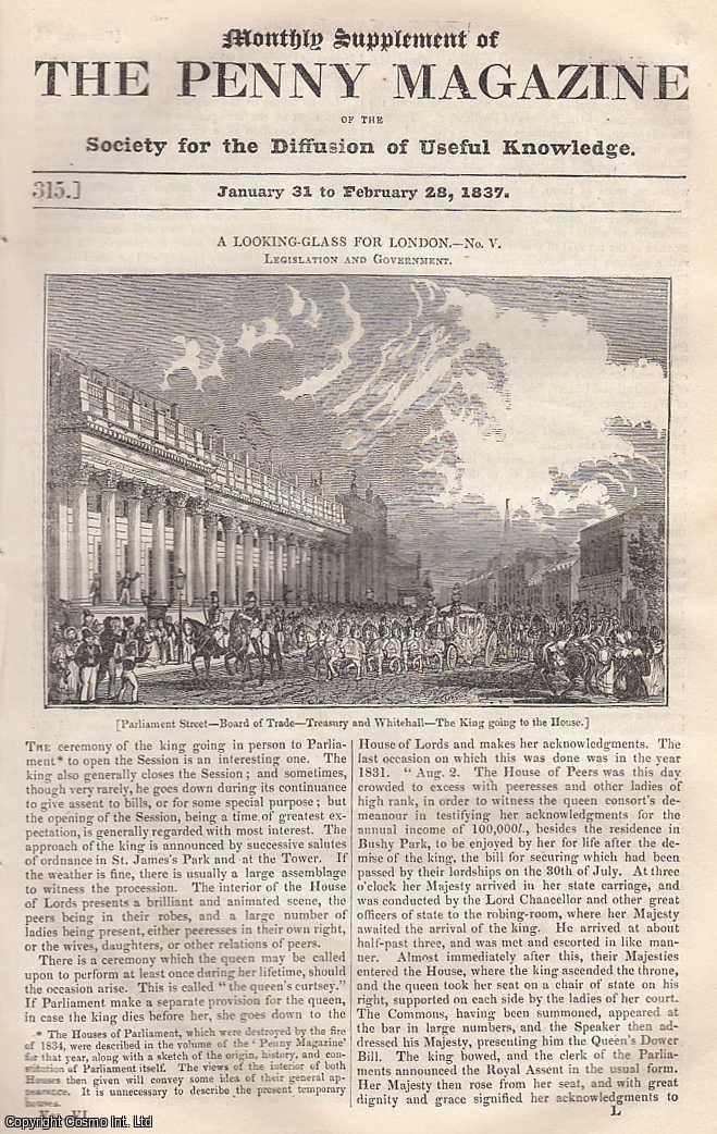 --- - Legislation and Government, London; Hare-Hunting by The Fox; Orders of Knighthood. Issue No. 315, February 28th, 1837. A complete rare weekly issue of the Penny Magazine, 1837.