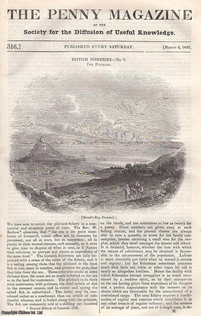 --- - British Fisheries: The Pilchard; Ruins of Selinuntum, Now Called Selinunte; The City of Buffalo, etc. Issue No. 316, March 4th, 1837. A complete rare weekly issue of the Penny Magazine, 1837.