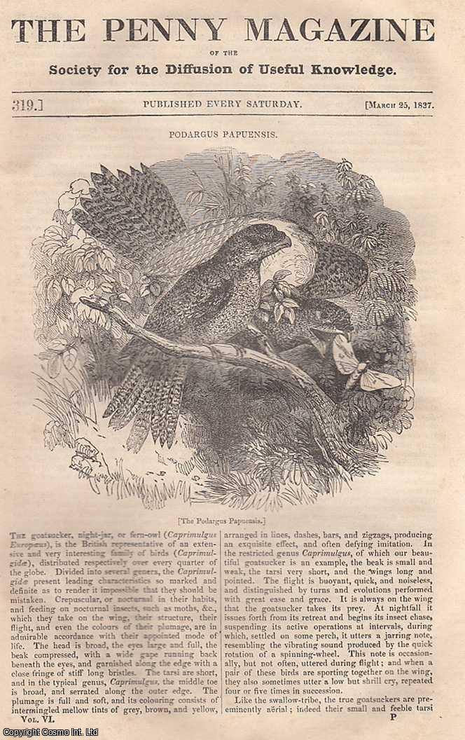 --- - Podargus Papuensis (Bird); British Fisheries: The Mackerel; Cottage Economy, Poultry, Trade in Eggs. Issue No. 319, March 25th, 1837. A complete rare weekly issue of the Penny Magazine, 1837.