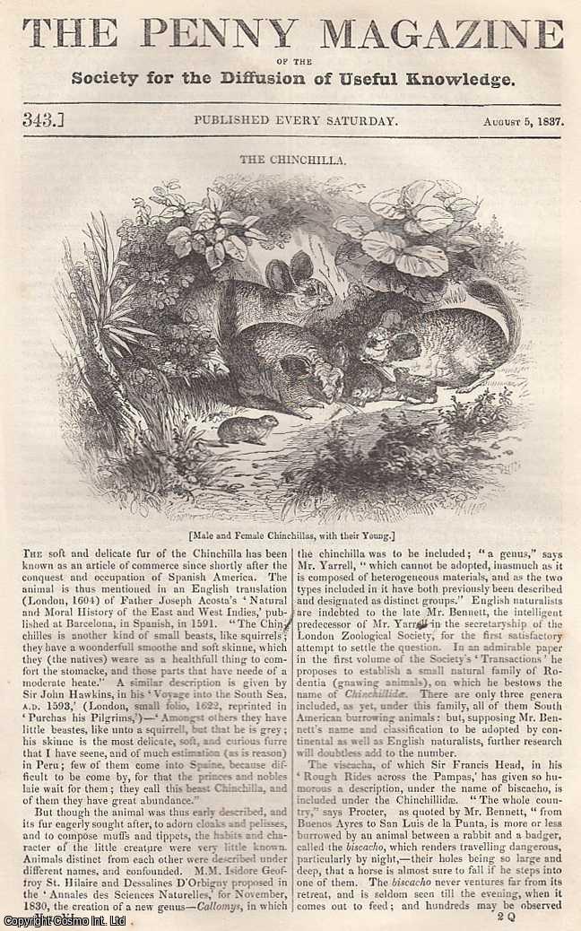 --- - The Chinchilla: Male and Female; Newspapers Beyond The Ganges; Sketches of The Peninsula: Smugglers, part 5; Northumbrian Manners and Customs; Fur-Trading with The Indians, etc. Issue No. 343, August 5th, 1837. A complete rare weekly issue of the Penny Magazine, 1837.