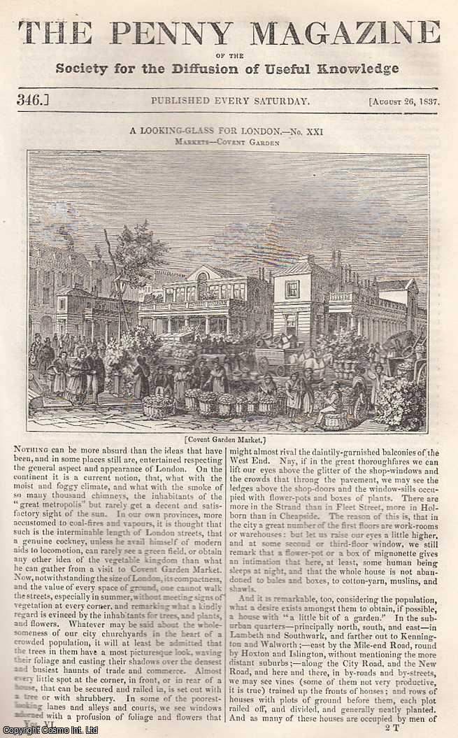 --- - London Markets, Covent Garden; Beggars and Begging in America; Pleasures of Gardening; British Fisheries: The Crab, etc. Issue No. 346, August 26th, 1837. A complete rare weekly issue of the Penny Magazine, 1837.