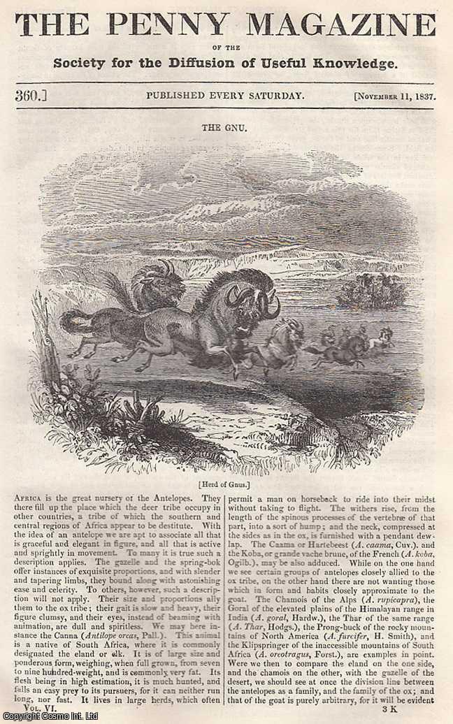 --- - The Gnu (Antelope), Africa; Sealing Wax; Wooden Houses, and The Manner of Building Them; Royal Visits to The City of London, etc. Issue No. 360, November 11th, 1837. A complete rare weekly issue of the Penny Magazine, 1837.