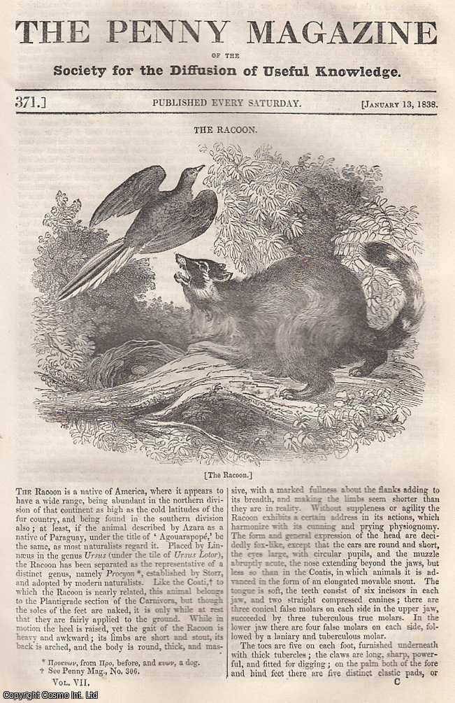 --- - The Racoon: Native of America; Industry of London; Tunis & Tripoli; The Silk-Works of Brianza; Character of Modern Knowledge, with Hints For Its Improvement, etc. Issue No. 371, January 13th, 1838. A complete rare weekly issue of the Penny Magazine, 1838.