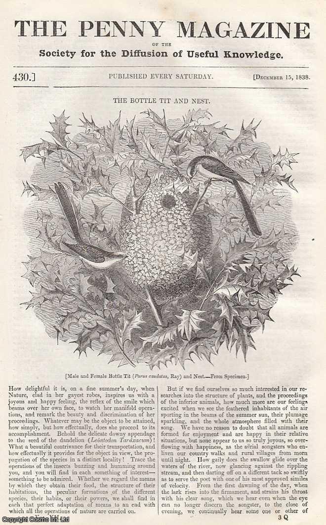 --- - The Bottle Tit (Male & Female Bird) and Nest; Oxalic Acid and Salts of Lemons; Eastern Harems; Quacks and Quack Medicines, etc. Issue No. 430, December 15th, 1838. A complete rare weekly issue of the Penny Magazine, 1838.