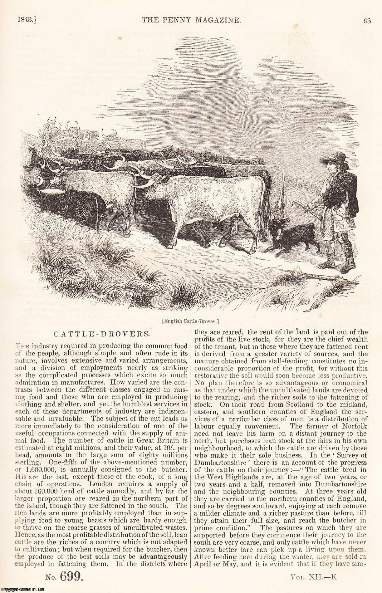---. - Cattle-Drovers; The Blasting of Rocks; The Yew; Plants used in Dyeing Brown and Black, etc. Issue No. 699. A complete rare weekly issue of the Penny Magazine, 1843.