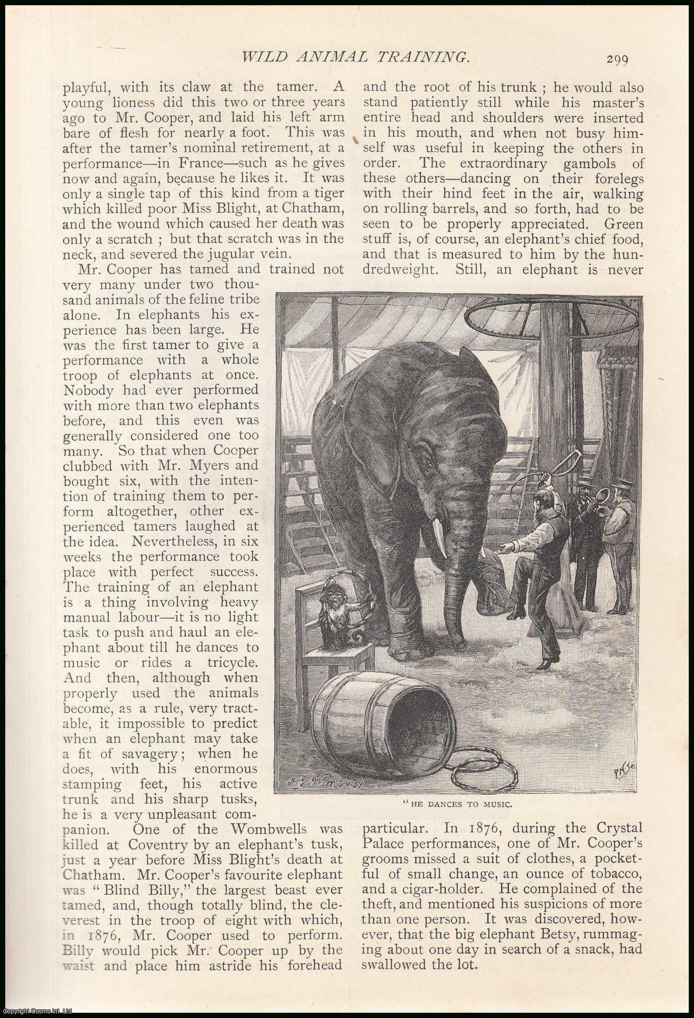 Strand Magazine - Wild Animal Training : animal tamers. An uncommon original article from The Strand Magazine, 1891.