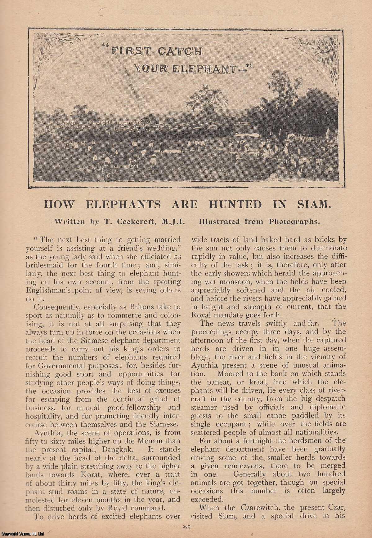 T. Cockcroft - How Elephants are Hunted in Siam. Illustrated from photographs. This is an original article from the Penny Pictorial Magazine, 1899.