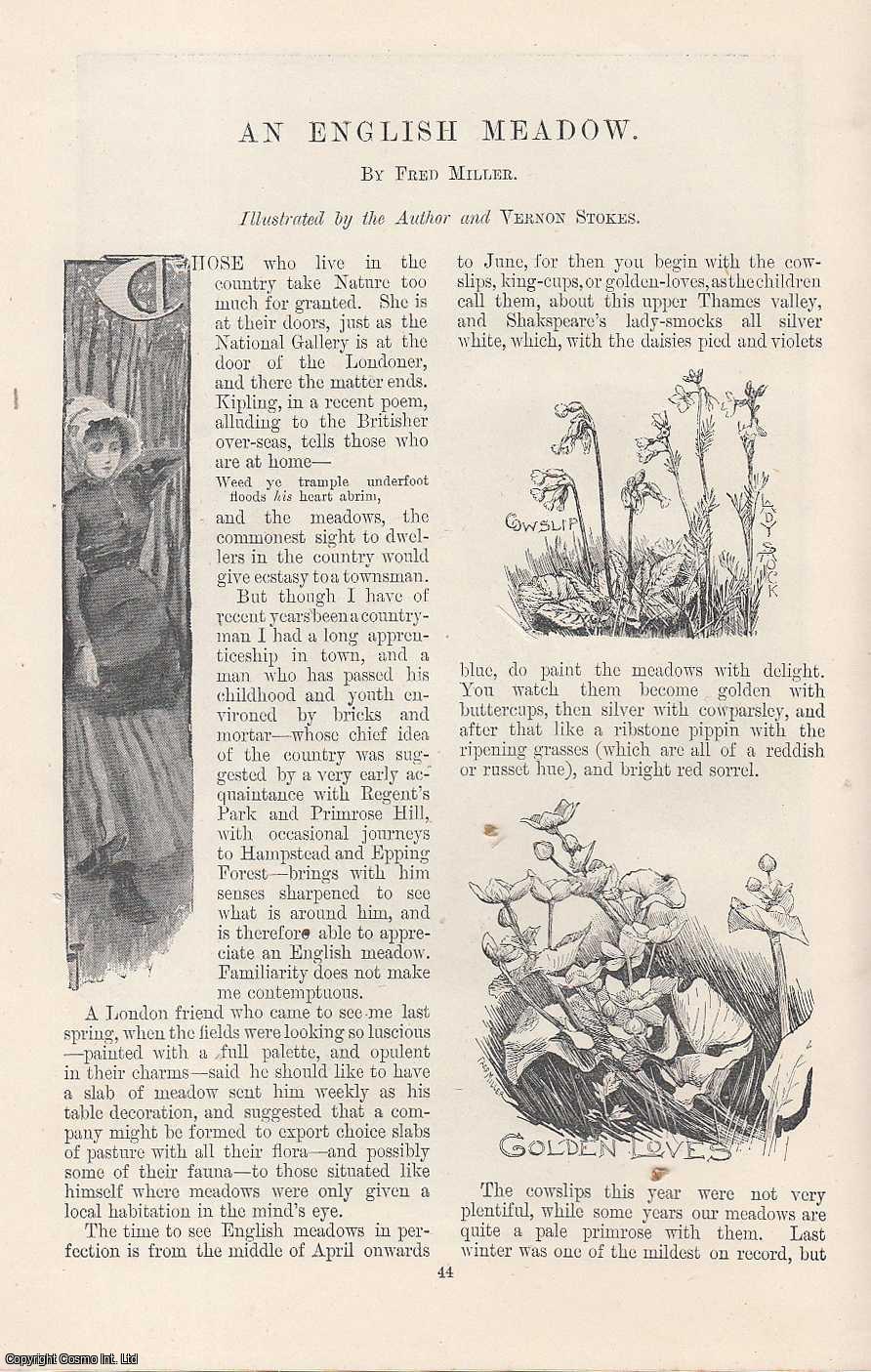Fred Miller, illustrated by Vernon Stokes & The Author. - Epping Forest : An English Meadow. An original article from the Windsor Magazine, 1896.