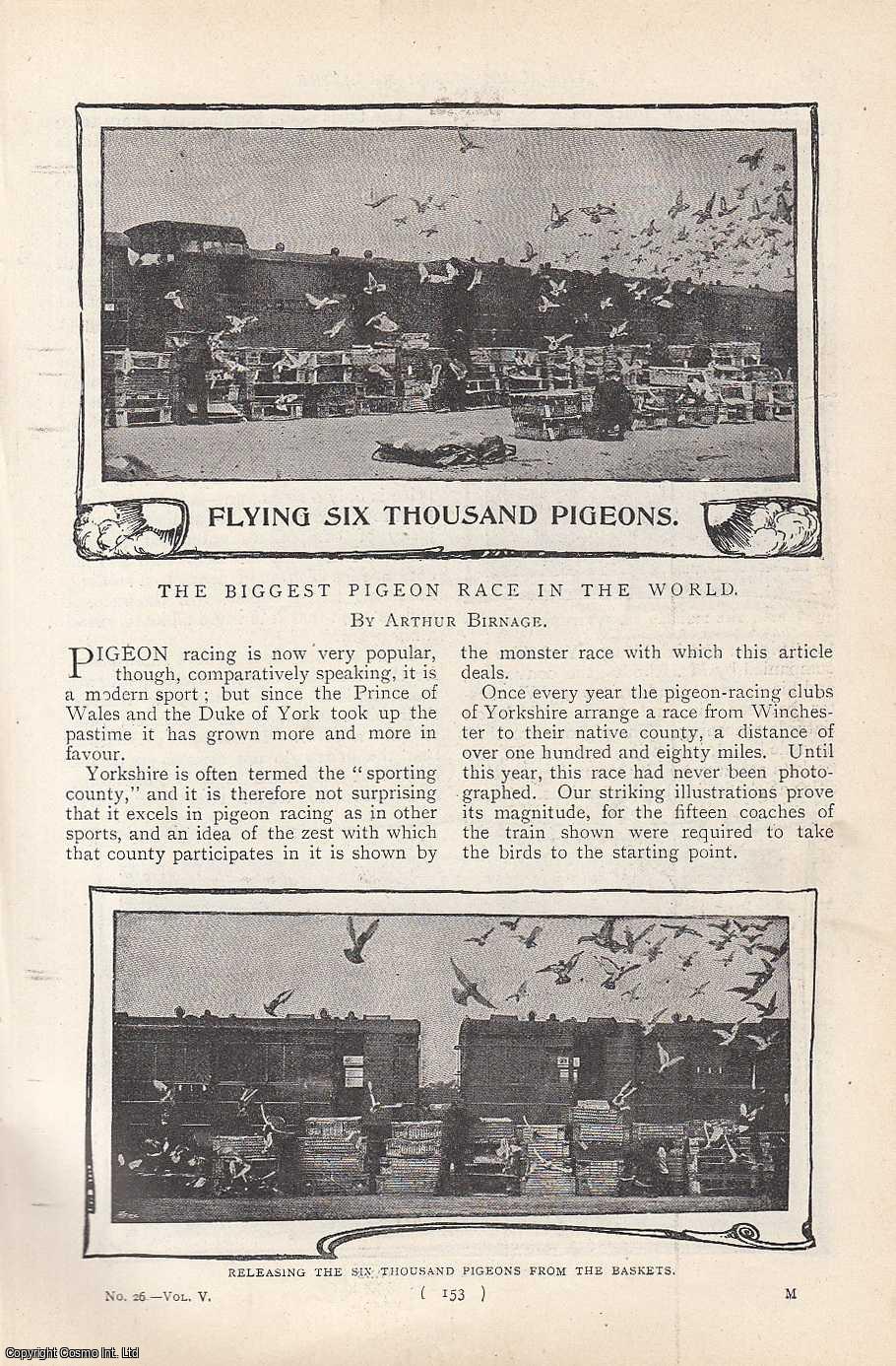 BIRNAGE, ARTHUR - The Biggest Pigeon Race in The World (Yorkshire): Flying Six Thousand Pigeons. A rare original article from the Harmsworth London Magazine, 1900-01.