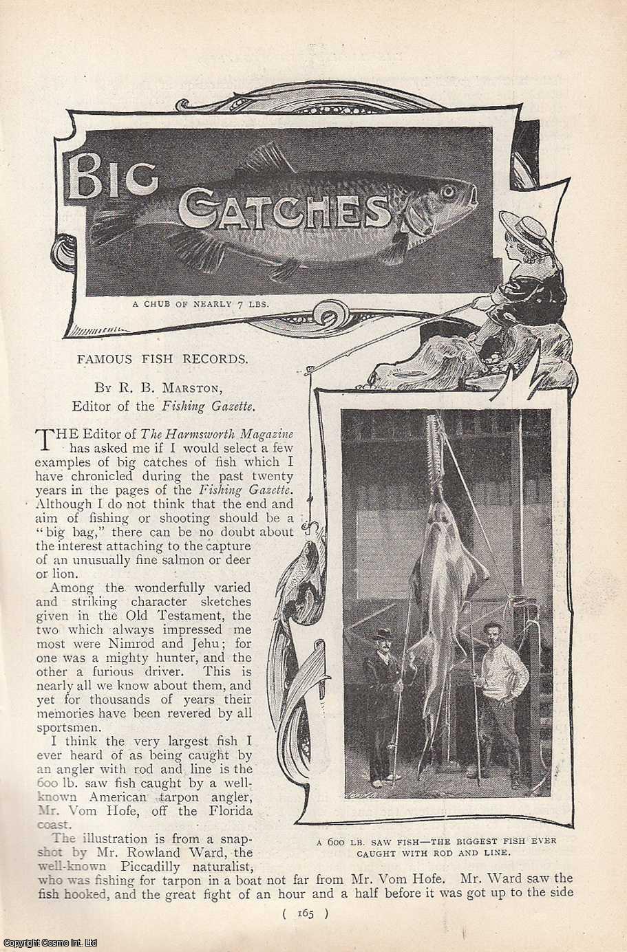 R.B. Marston - Mr. Merthyr Guest's 64lb. Salmon ; 132lb. Skate ; Leaping Tuna, 130lb & more : Famous Fish Records. Big Catches, Catching Fish. An uncommon original article from the Harmsworth London Magazine, 1901.