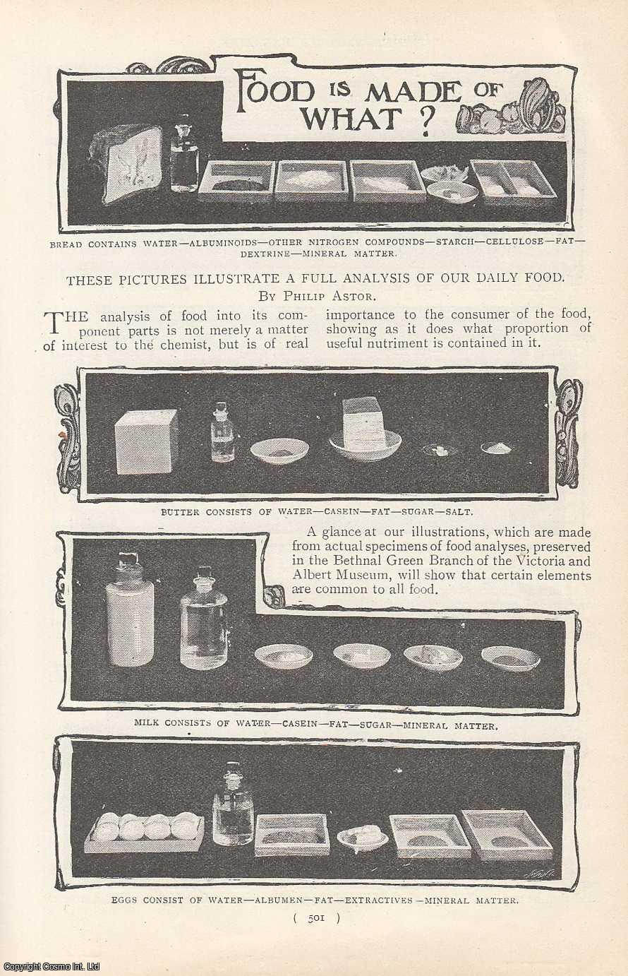 Philip Astor - Food is Made of What : These Pictures Illustrate a Full Analysis of Our Daily Food. An uncommon original article from the Harmsworth London Magazine, 1901.