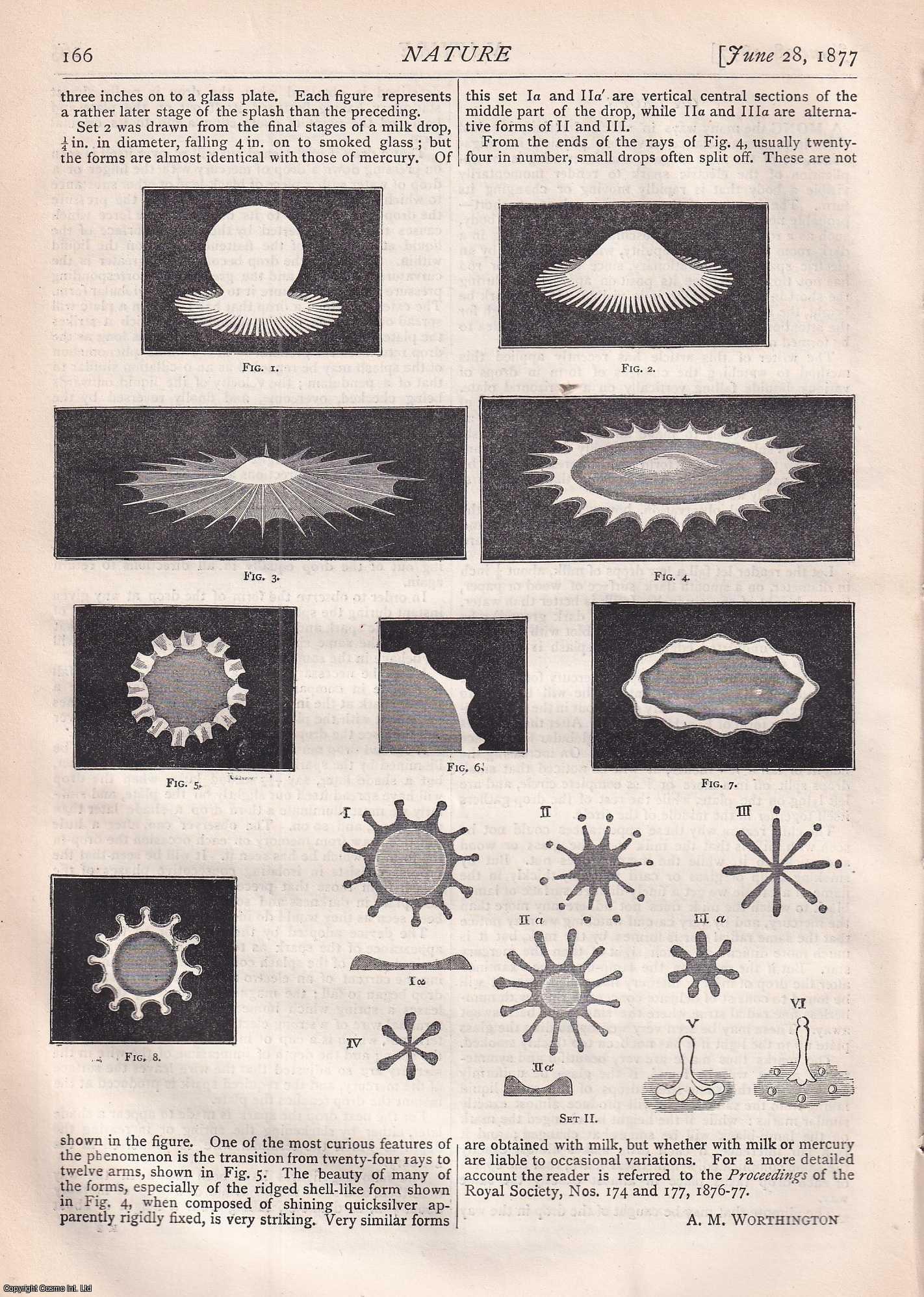 NATURE - Nature, Volume 16, Number 400. Nature. A Weekly Journal of Science. Thursday, June 28th, 1877.