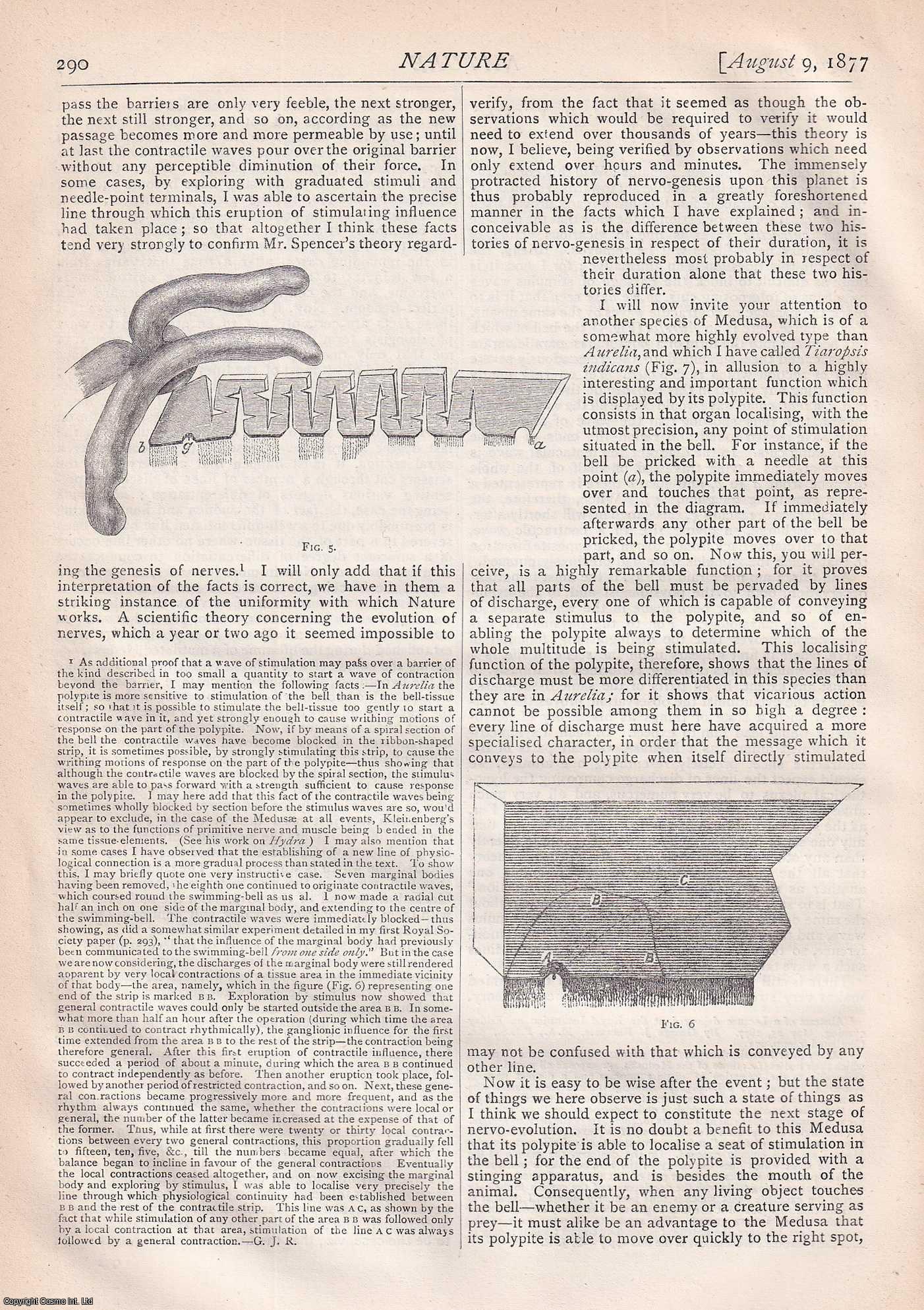 NATURE - Nature, Volume 16, Number 406. Nature. A Weekly Journal of Science. Thursday, August 9th, 1877.