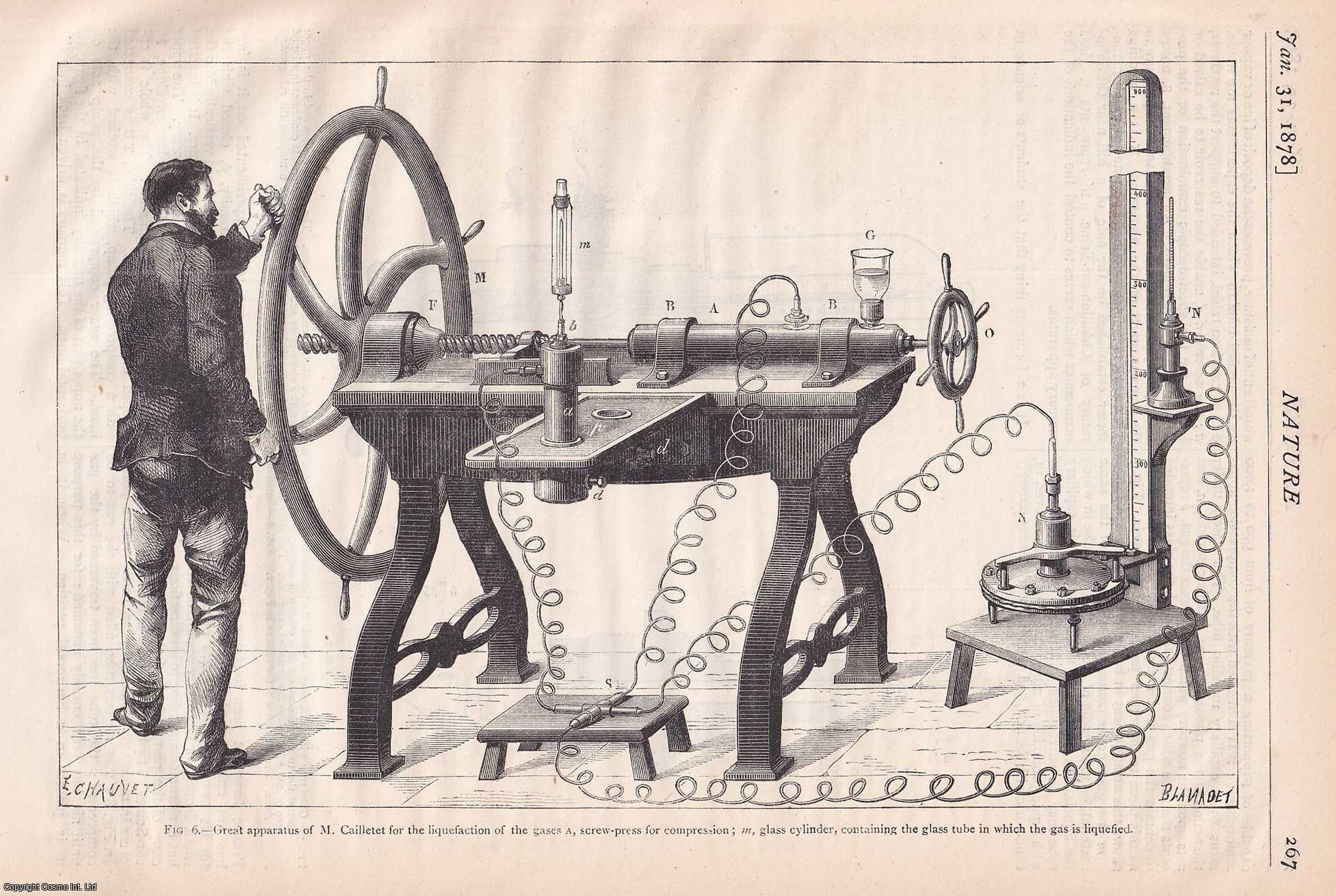 NATURE - Nature, Volume 17, Number 431. Nature. A Weekly Journal of Science. Thursday, January 31st, 1878.
