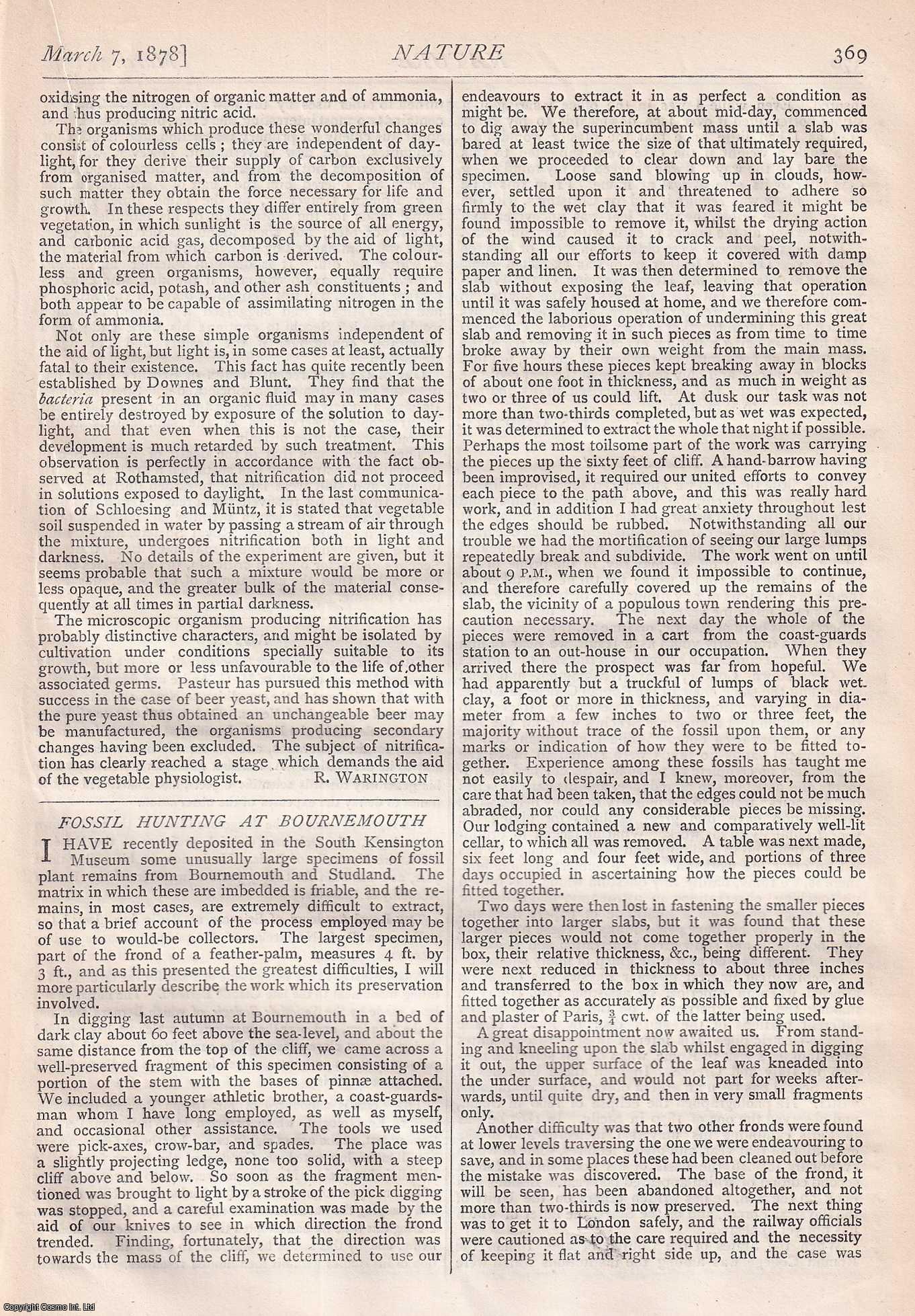 NATURE - Nature, Volume 17, Number 436. Nature. A Weekly Journal of Science. Thursday, March 7th, 1878.
