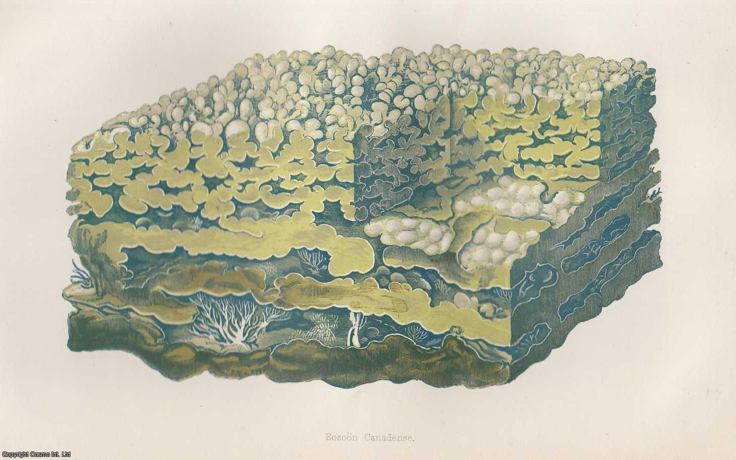 CARPENTER, WILLIAM B. - The Structure, Affinities, and Geological Position of Eozoon Canadense. A rare original article from the Intellectual Observer, 1865.