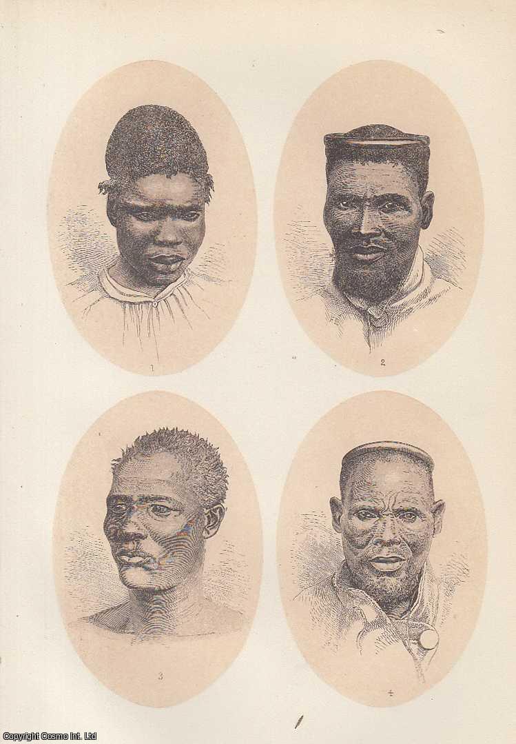 DR. MANN - Kaffir Promise and Capability. A rare original article from the Intellectual Observer, 1867.