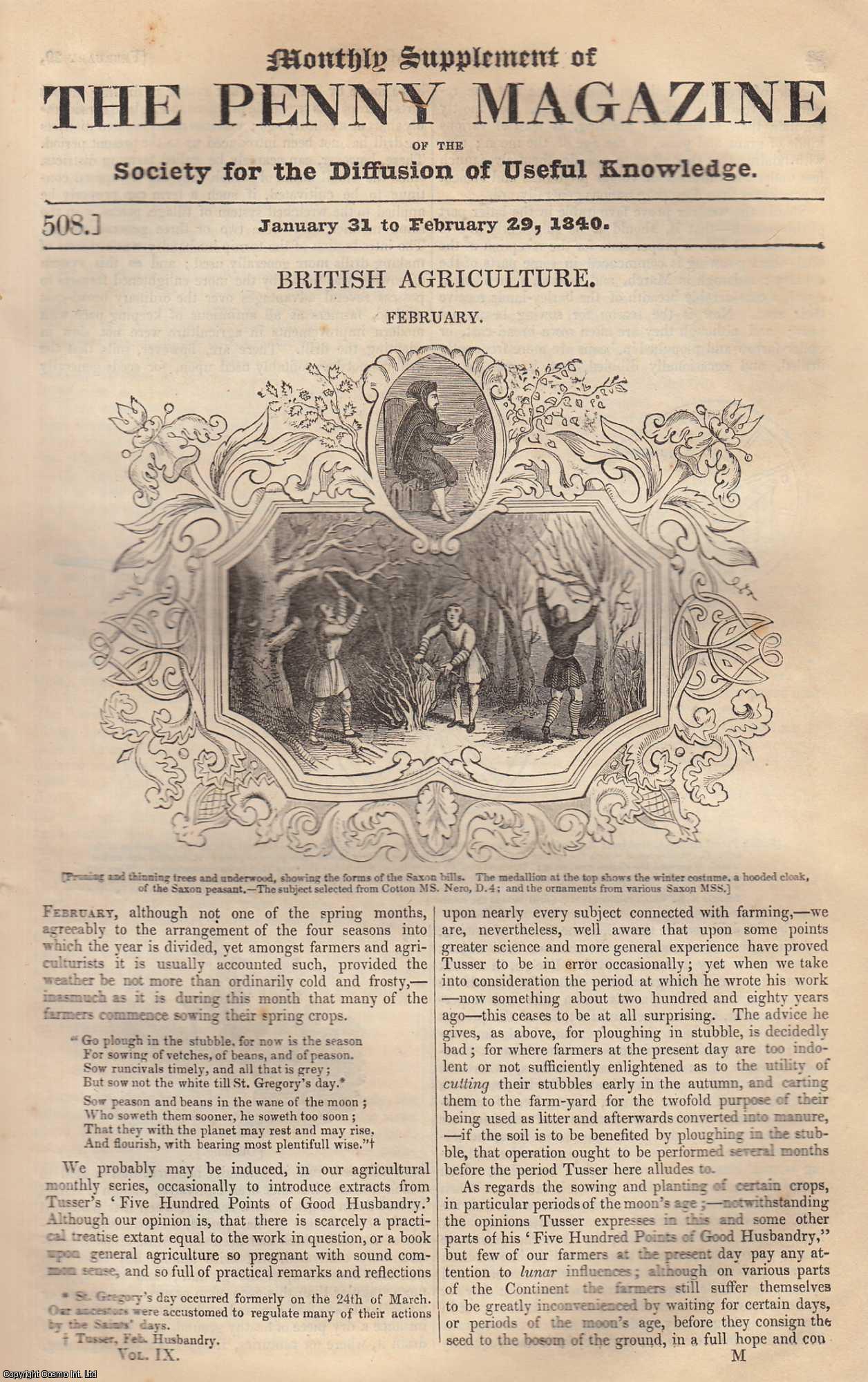 --- - British Agriculture (February). Issue No. 508, February 29th, 1840. A complete rare weekly issue of the Penny Magazine, 1840.