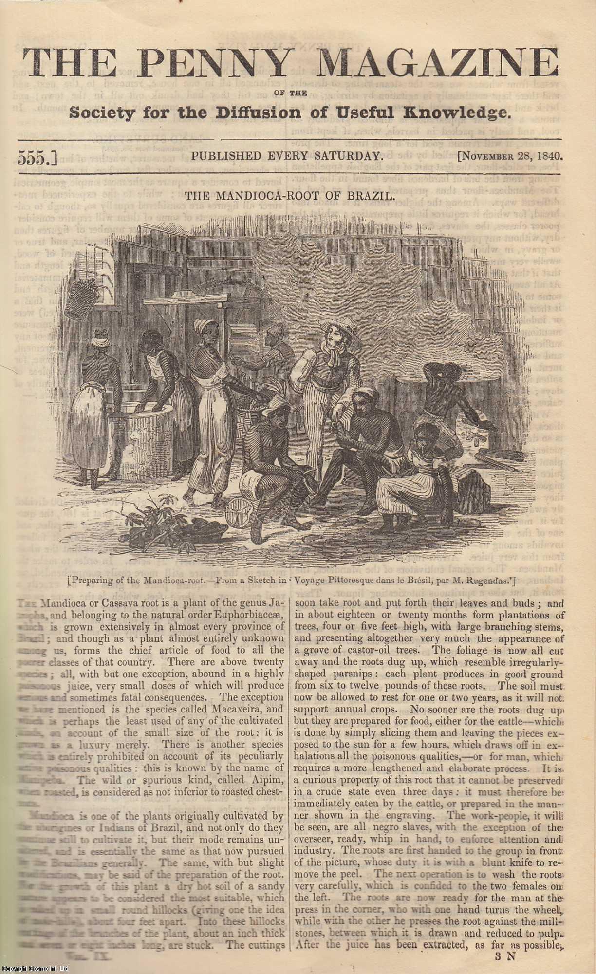 --- - The Mandioca-Root of Brazil; Land-Surveying (Part 2); Ancient Alexandria (Rome). Issue No. 555, November 28th, 1840. A complete rare weekly issue of the Penny Magazine, 1840.