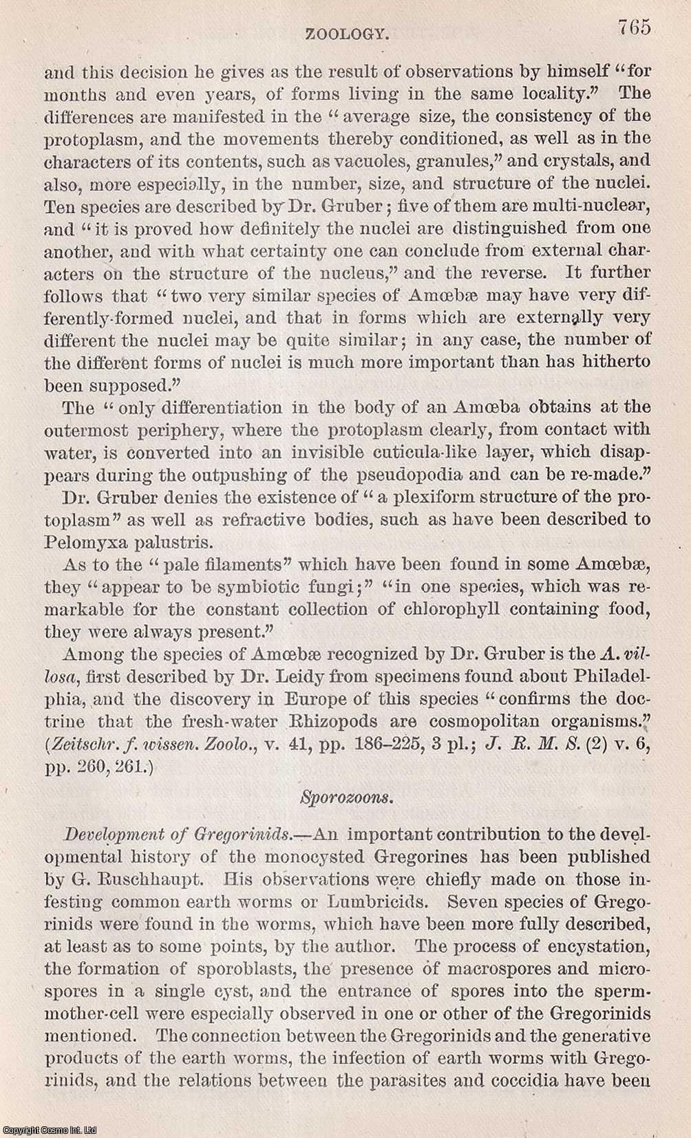 PROF. THEODORE GILL - Sporozoons, Rhizopods, Insects, Mollusks, Vertebrates, and more (Zoology). An original article from the Report of the Smithsonian Institution, 1885.