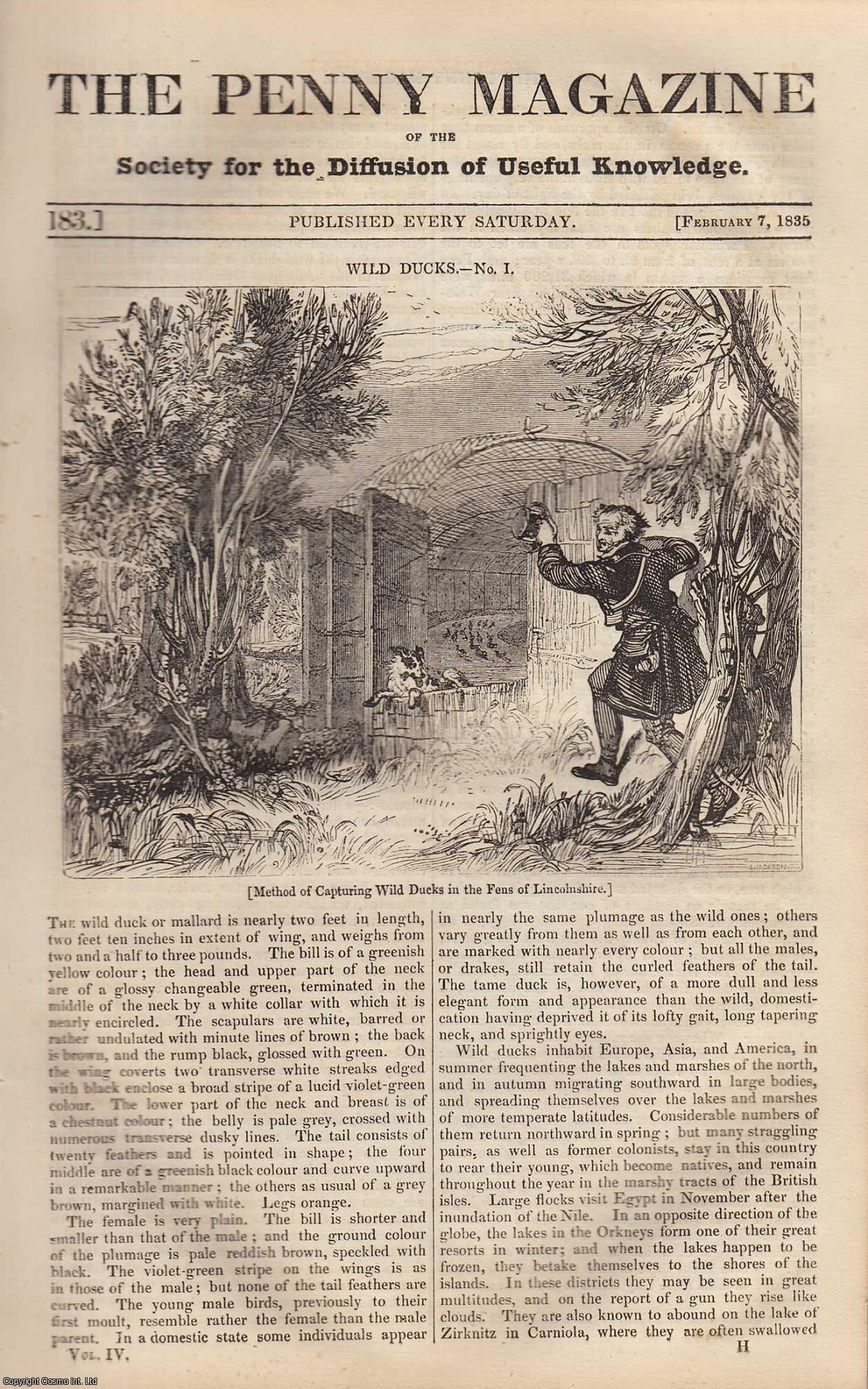 --- - Sir Walter Raleigh: His Birth-Place; Wild Ducks (part 1);The North American Indians (part 2); The Ossetinians. Issue No. 183, February 7, 1835. A complete rare weekly issue of the Penny Magazine, 1835.