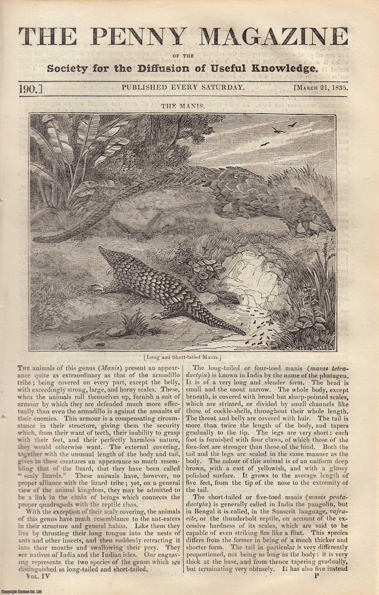 --- - The Manis, Scaly Lizard (long-tailed or four-toed); Robert Southwell (part 2) (poet); The Life-Boat; Chesterfield Church and its Crooked Spire. Issue No. 190, March 21, 1835. A complete rare weekly issue of the Penny Magazine, 1835.