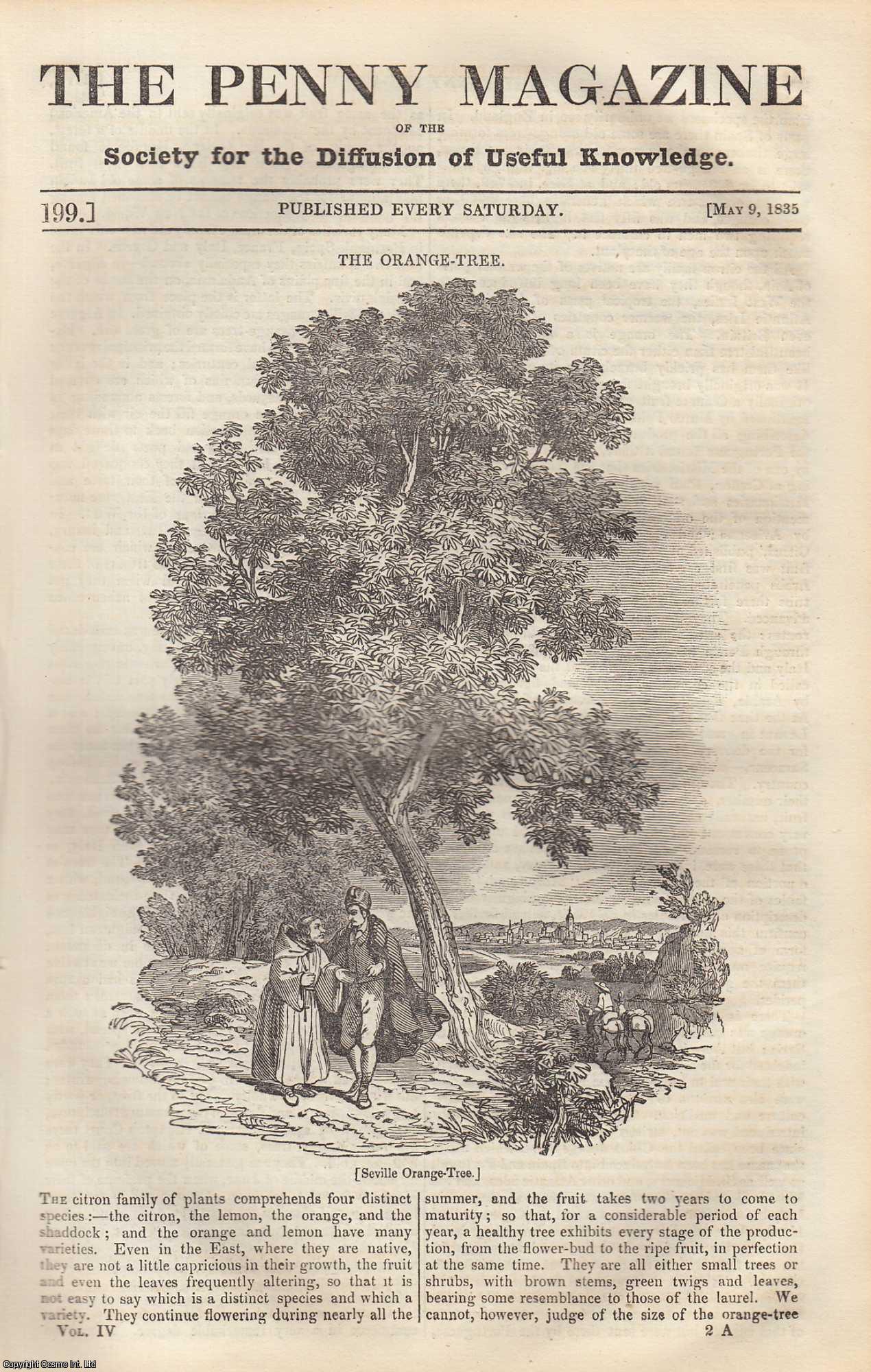 --- - The Orange-Tree; Cathedral of Florence; Signification of Some Obscure Words; Archdeacon Nare's Glossary. Issue No. 199, May 9, 1835. A complete rare weekly issue of the Penny Magazine, 1835.