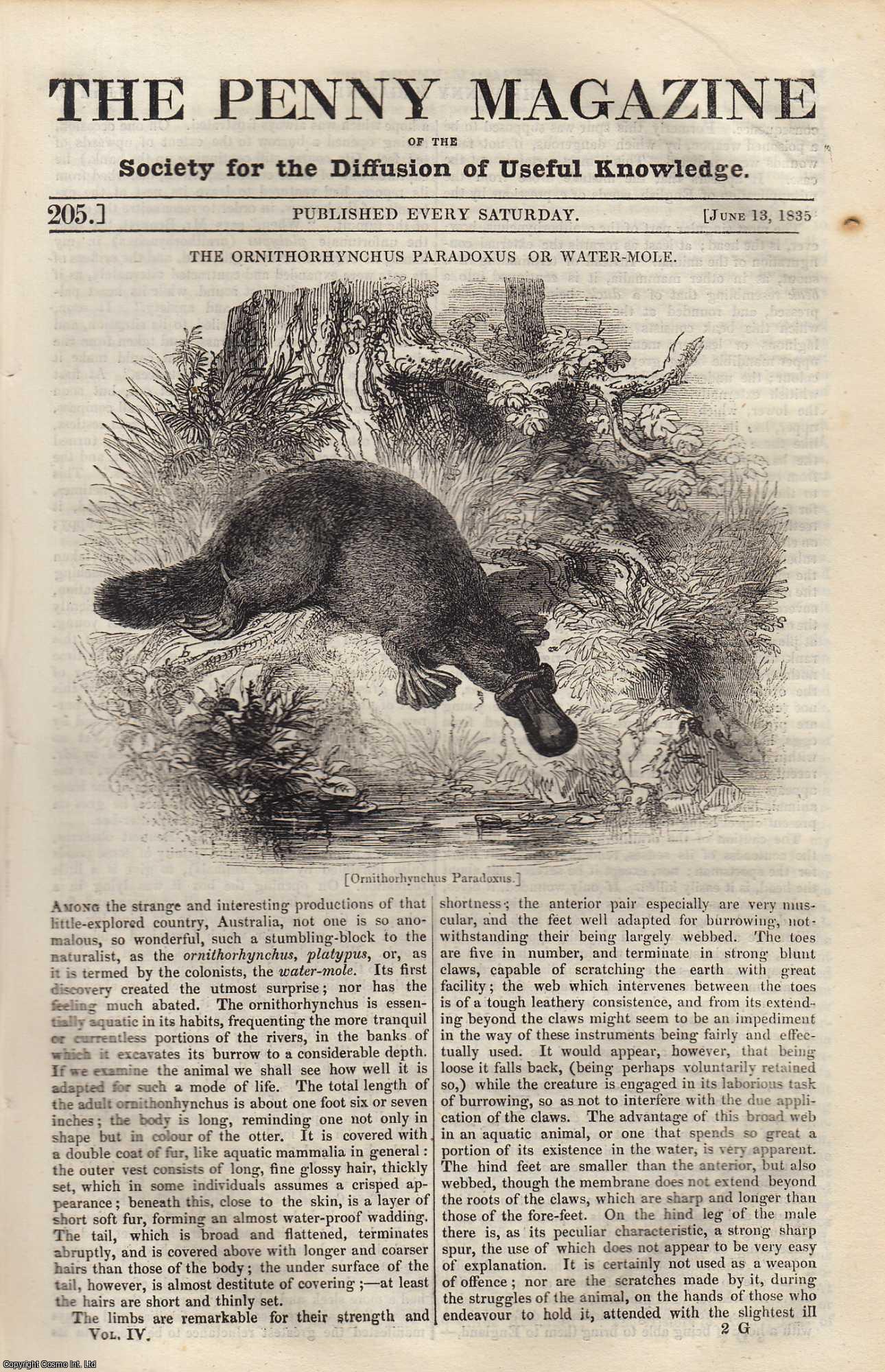 --- - The Ornithorhynchus Paradoxus or Water-Mole; The Ruins of The Chateau of Hougoumont, at Waterloo; Effects of Legislative Restrictions on Intemperance. Issue No. 205, June 13, 1835. A complete rare weekly issue of the Penny Magazine, 1835.