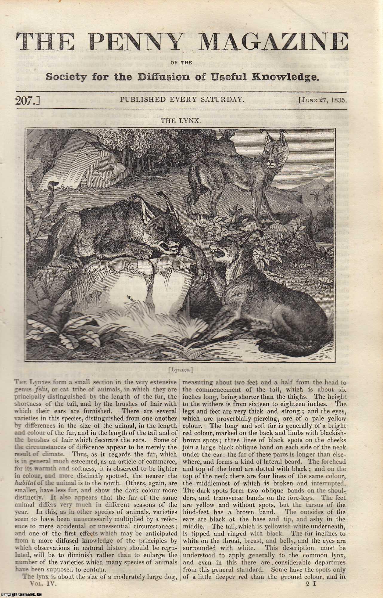 Penny Magazine - The Lynx (genus felis, or cat); Burials in Russia; The Imposture of Garnets Straw; Fountains. Issue No. 207, June 27, 1835. A complete original weekly issue of the Penny Magazine, 1835.