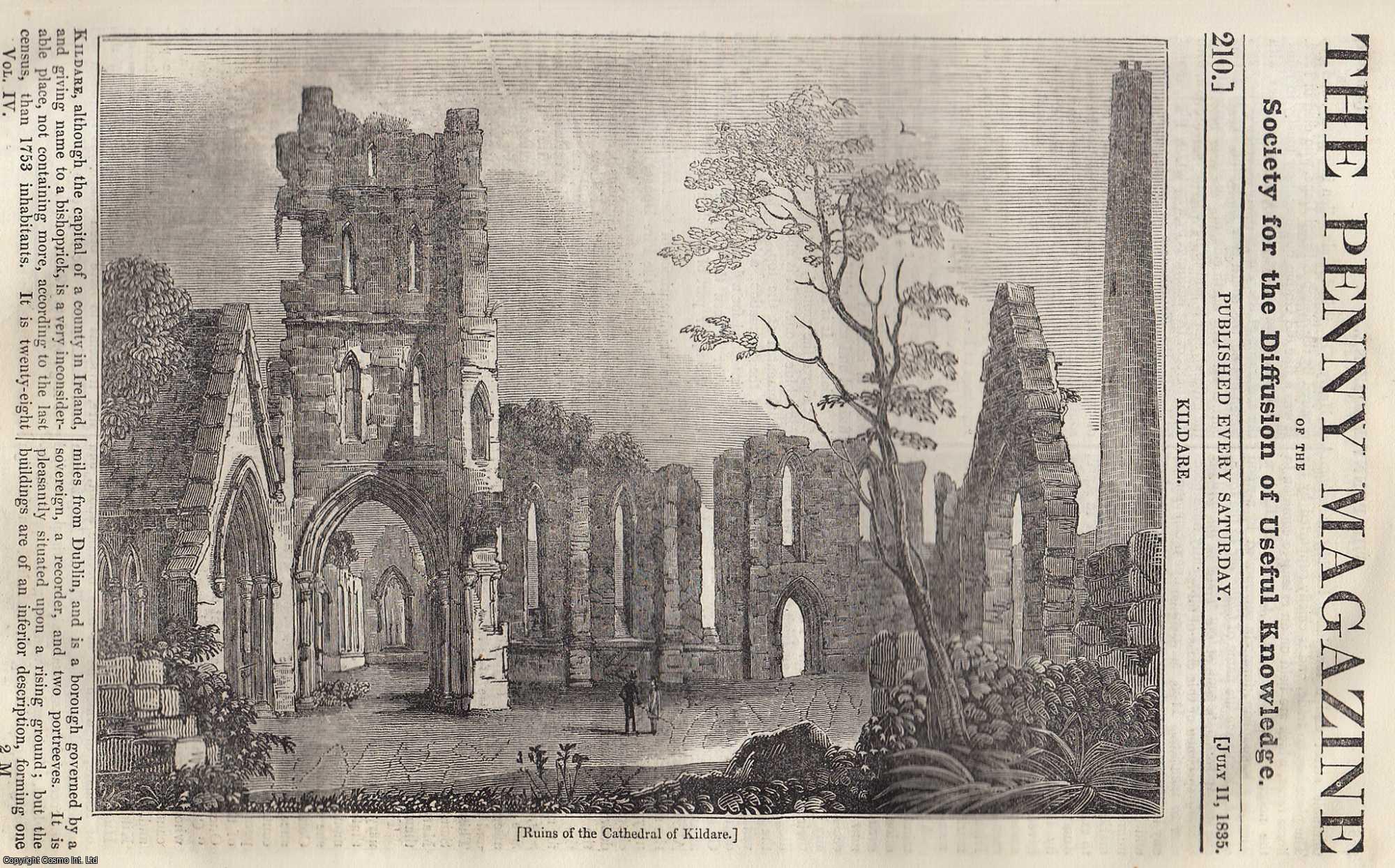 Penny Magazine - Kildare, Ireland; The Orang-Outang; Teneriffe; Cider. Issue No. 210, July 11, 1835. A complete original weekly issue of the Penny Magazine, 1835.