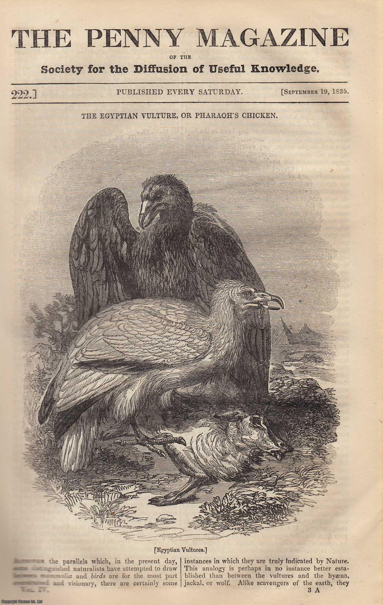 --- - The North Foreland Lighthouse; The Egyptian Vulture, or Pharaoh's Chicken; The Canals of China. Issue No. 222, September 19, 1835. A complete rare weekly issue of the Penny Magazine, 1835.