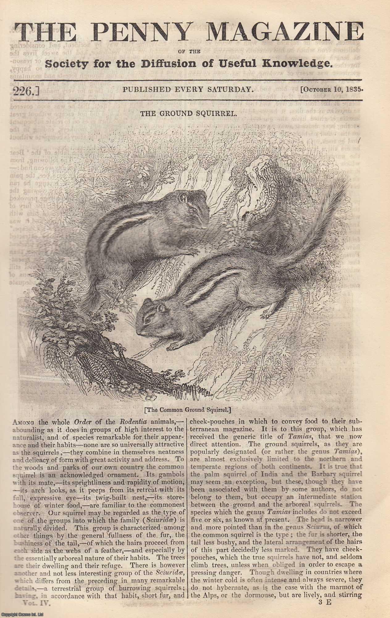 --- - The Ground Squirrel; State of The Poor in Foreign Countries; Bridges of China; Chamber of representatives at Washington. Issue No. 226, October 10, 1835. A complete rare weekly issue of the Penny Magazine, 1835.