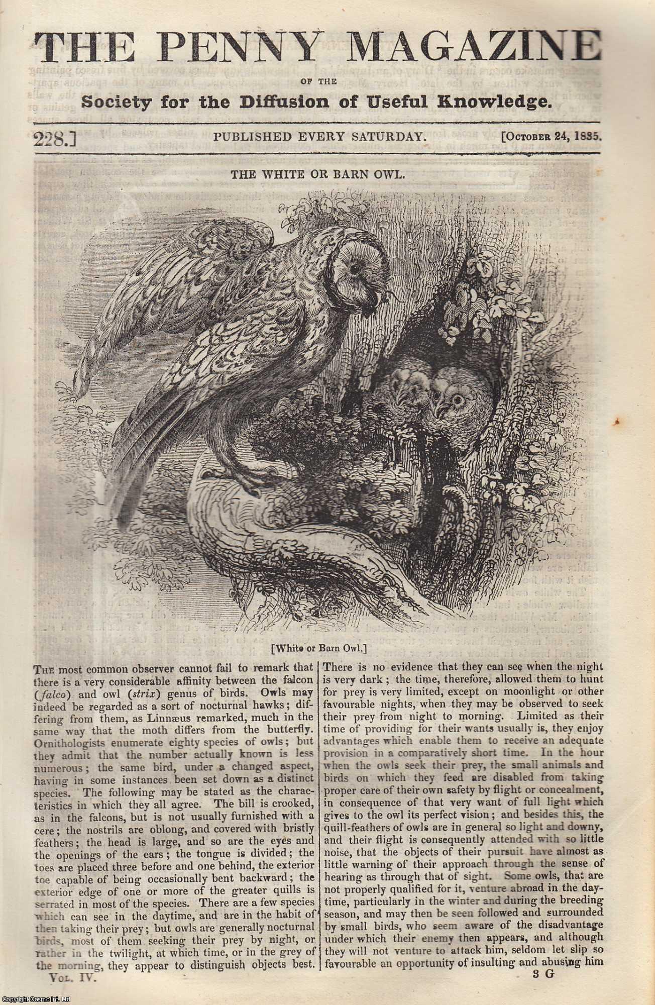 --- - The White or Barn Owl; The Roman Forum. Issue No. 228, October 24, 1835. A complete rare weekly issue of the Penny Magazine, 1835.