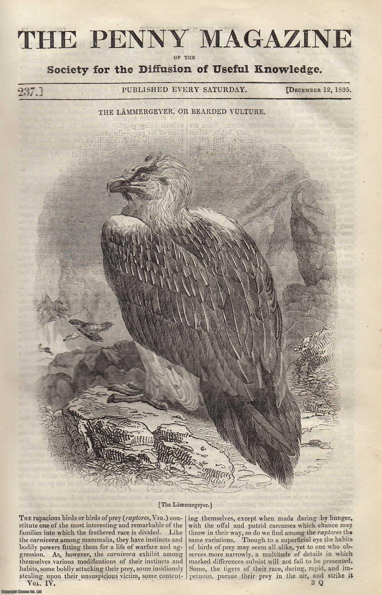 --- - The Lammergeyer, or Bearded Vulture; Costume of Normandy; The Bamboo, Camphor Tree, and Oil Plant in China; Laws of Mercia. Issue No. 237, December 12, 1835. A complete rare weekly issue of the Penny Magazine, 1835.