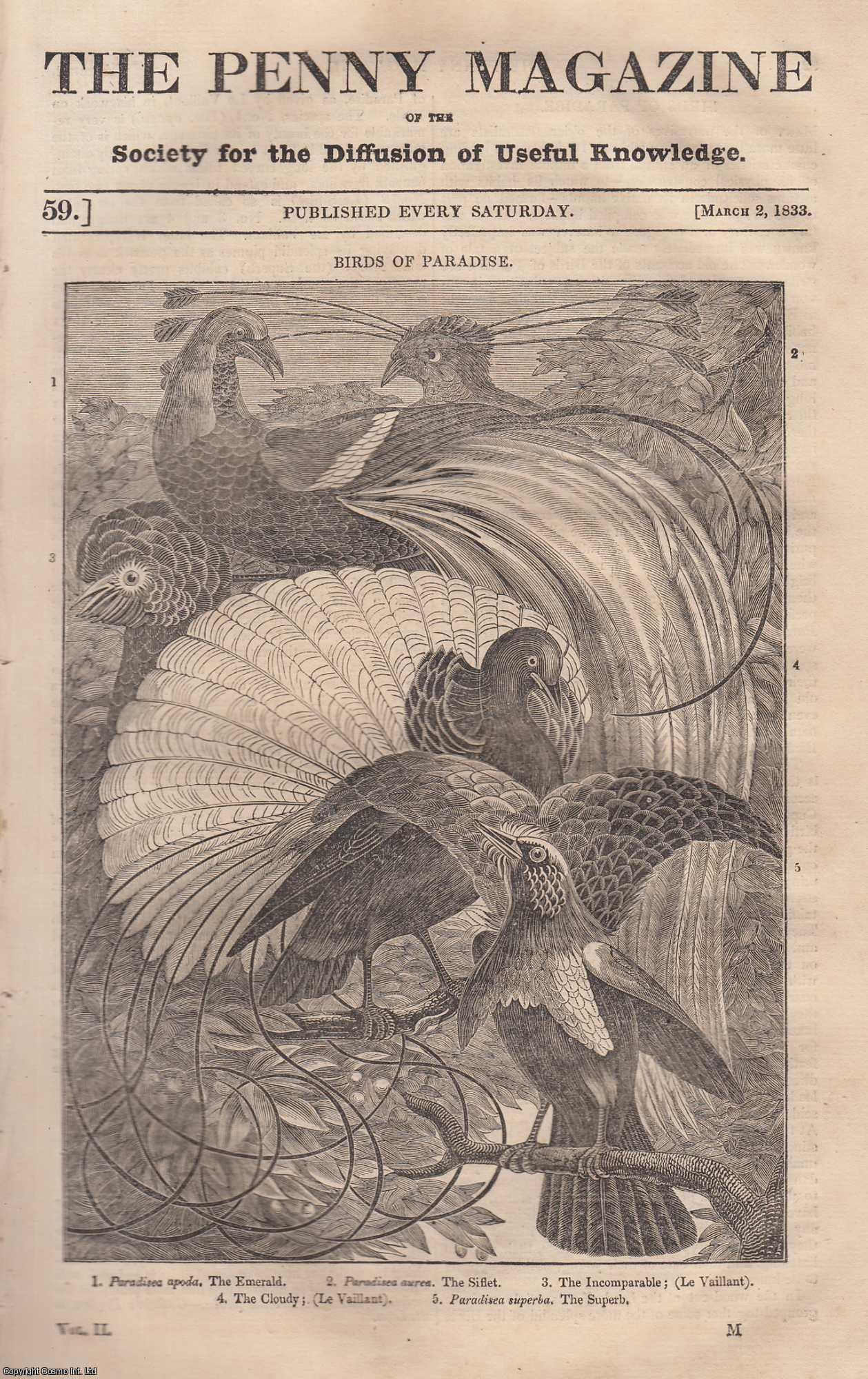 Penny Magazine - Birds of Paradise: The Emerald, The Siflet, The Incomparable, The Cloudy & The Superb; Kenilworth Castle, Warwickshire; Lord John Somers (Baron), etc. Issue No. 59, March 2nd, 1833. A complete original weekly issue of the Penny Magazine, 1833.