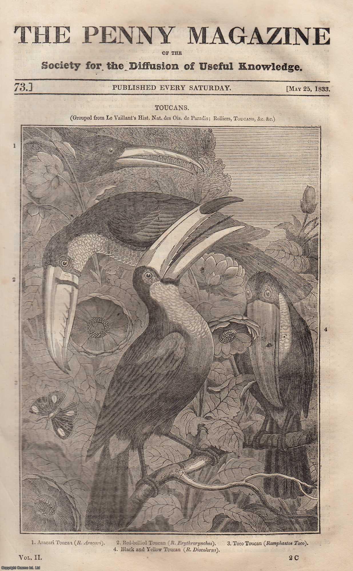 --- - Toucans: Aracari, Red-Bellied, Black & Yellow & Toco; Durham Cathedral; The Italian Wolf-Dog, etc. Issue No. 73, May 25th, 1833. A complete rare weekly issue of the Penny Magazine, 1833.