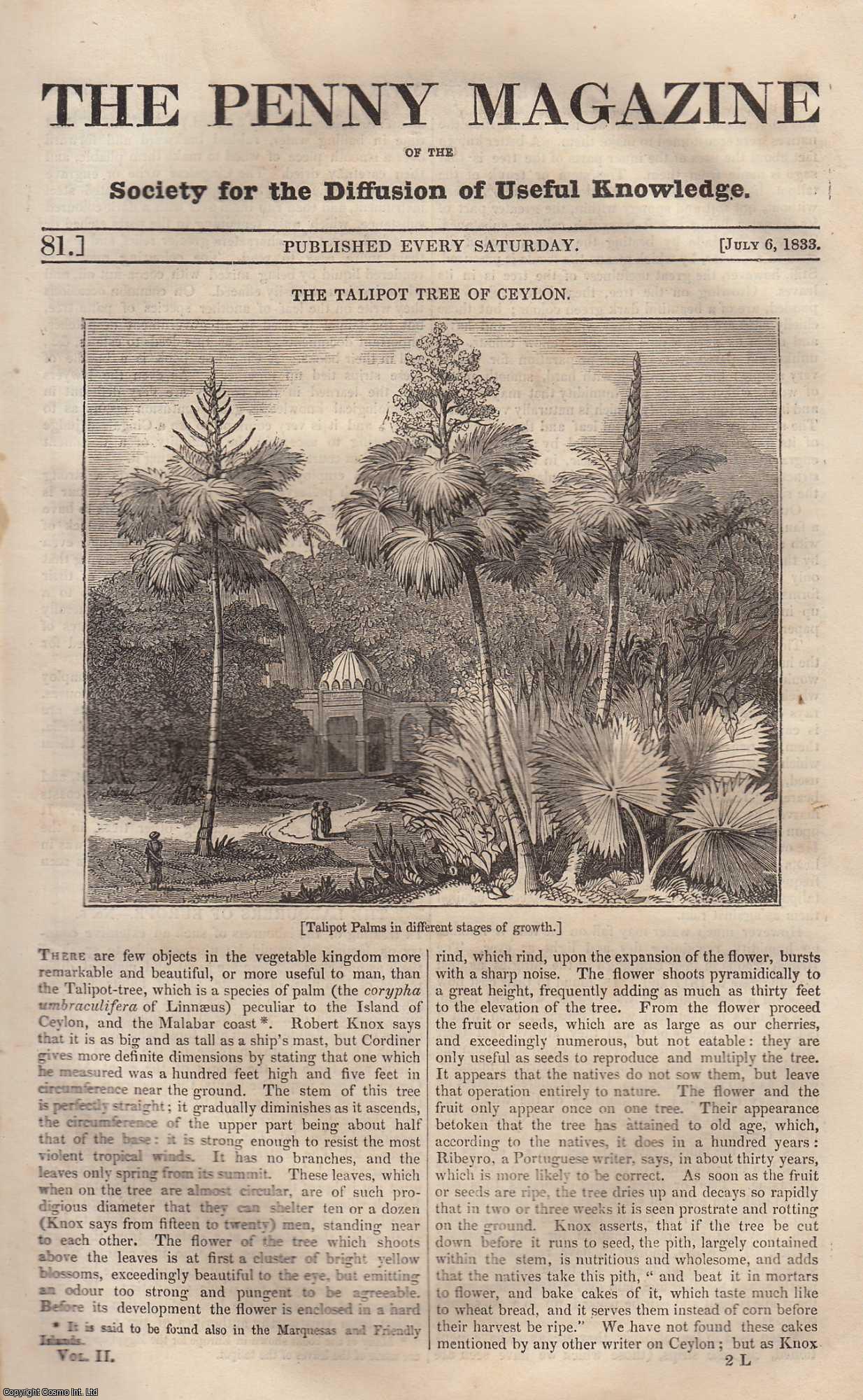 --- - The Talipot Tree of Ceylon; Elymas Struck with Blindness (cartoons of Raffaelle); The Moon, etc. Issue No. 81, July 6th, 1833. A complete rare weekly issue of the Penny Magazine, 1833.