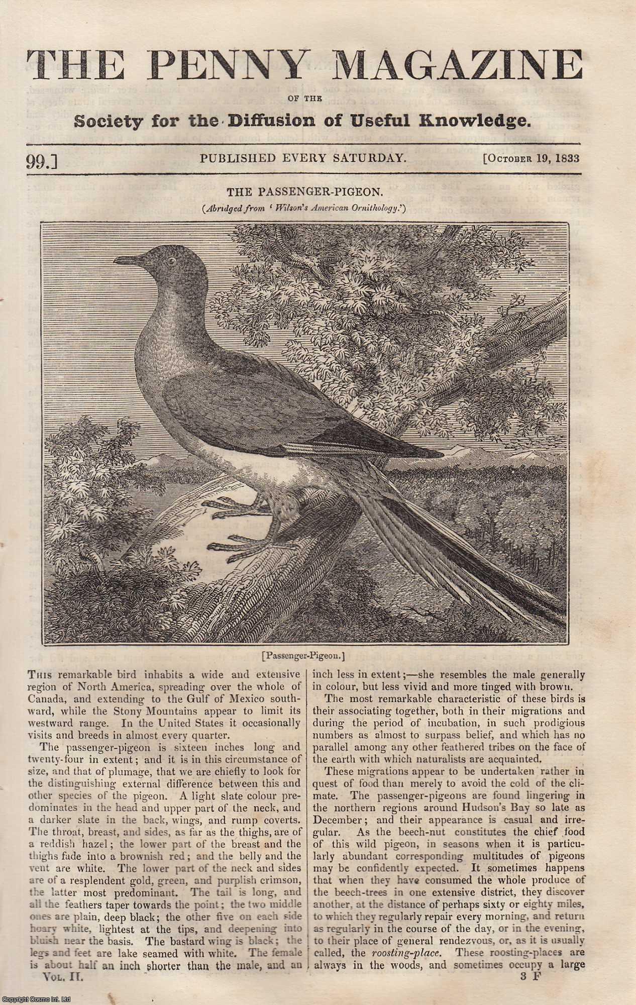 --- - The Passenger-Pigeon (Region of North America); The Cinnamon-Tree and its Products; William Penn (illustrious founder of the colony of Pennsylvania) and his First Treaty with The Indians; Richard Coeur De Lion (King of England), etc. Issue No. 99, October 19th, 1833. A complete rare weekly issue of the Penny Magazine, 1833.