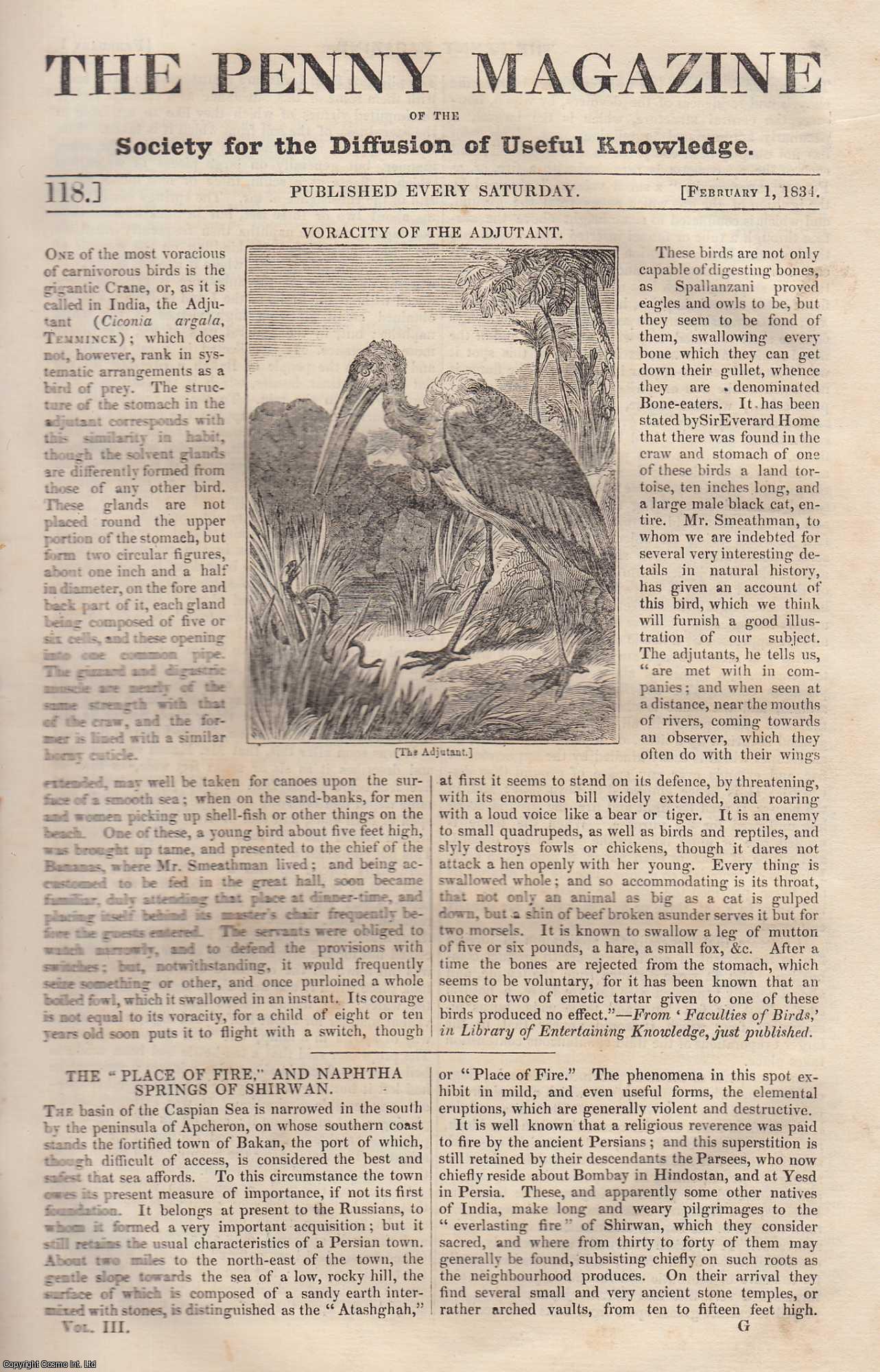 --- - Voracity of The Adjutant (carnivorous bird); The Place of Fire, and Naphtha Springs of Shirwan; English Management of Draught Horses; The City of Balbec, Syria; Professions and Trades of The Metropolis, etc. Issue No. 118, February 1st, 1834. A complete rare weekly issue of the Penny Magazine, 1834.