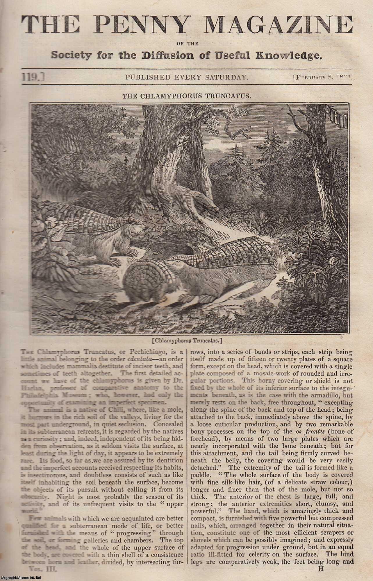--- - The Chlamyphorus Truncatus (animal); The Cathedral of Amiens (gothic architecture); The Indians of California; The Village of Broek, etc. Issue No. 119, February 8th, 1834. A complete rare weekly issue of the Penny Magazine, 1834.