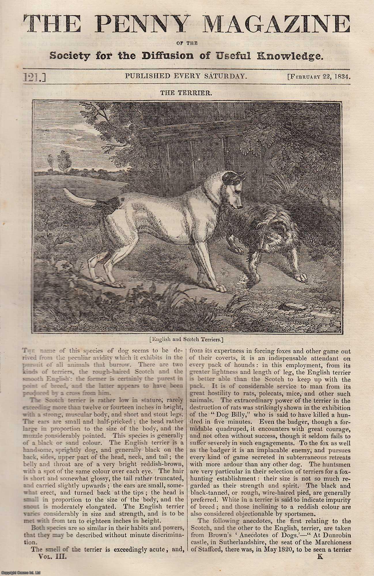 --- - The Terrier (English and Scotch); The Obelisk of Luxor (Paris); Beauvais (city of France); Stonehenge, etc. Issue No. 121, February 22nd, 1834. A complete rare weekly issue of the Penny Magazine, 1834.