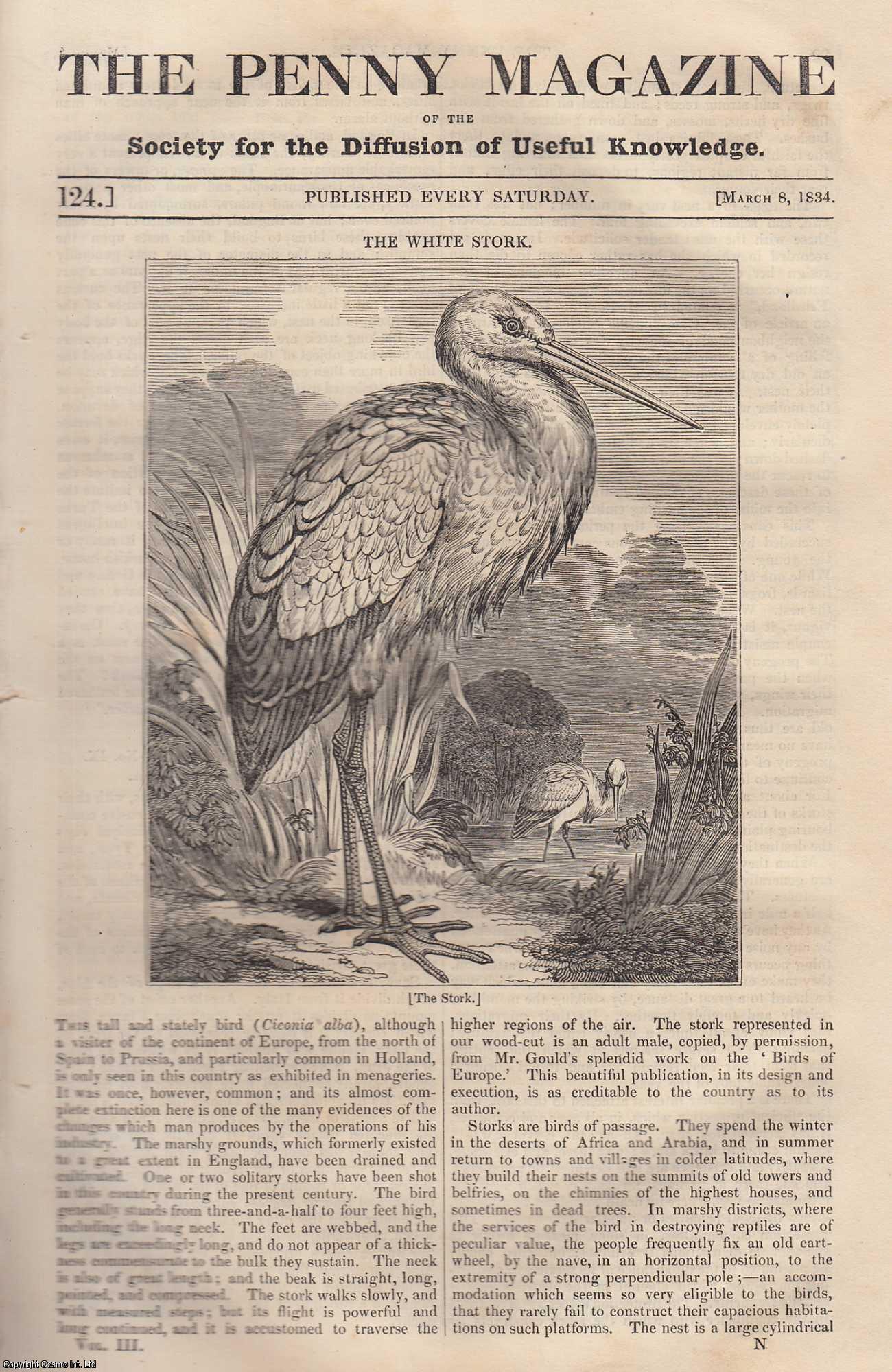 Penny Magazine - The White Stork (bird); Leonardo Da Vinci; Transmission of Newspapers by Post, etc. Issue No. 124, March 8th, 1834. A complete original weekly issue of the Penny Magazine, 1834.