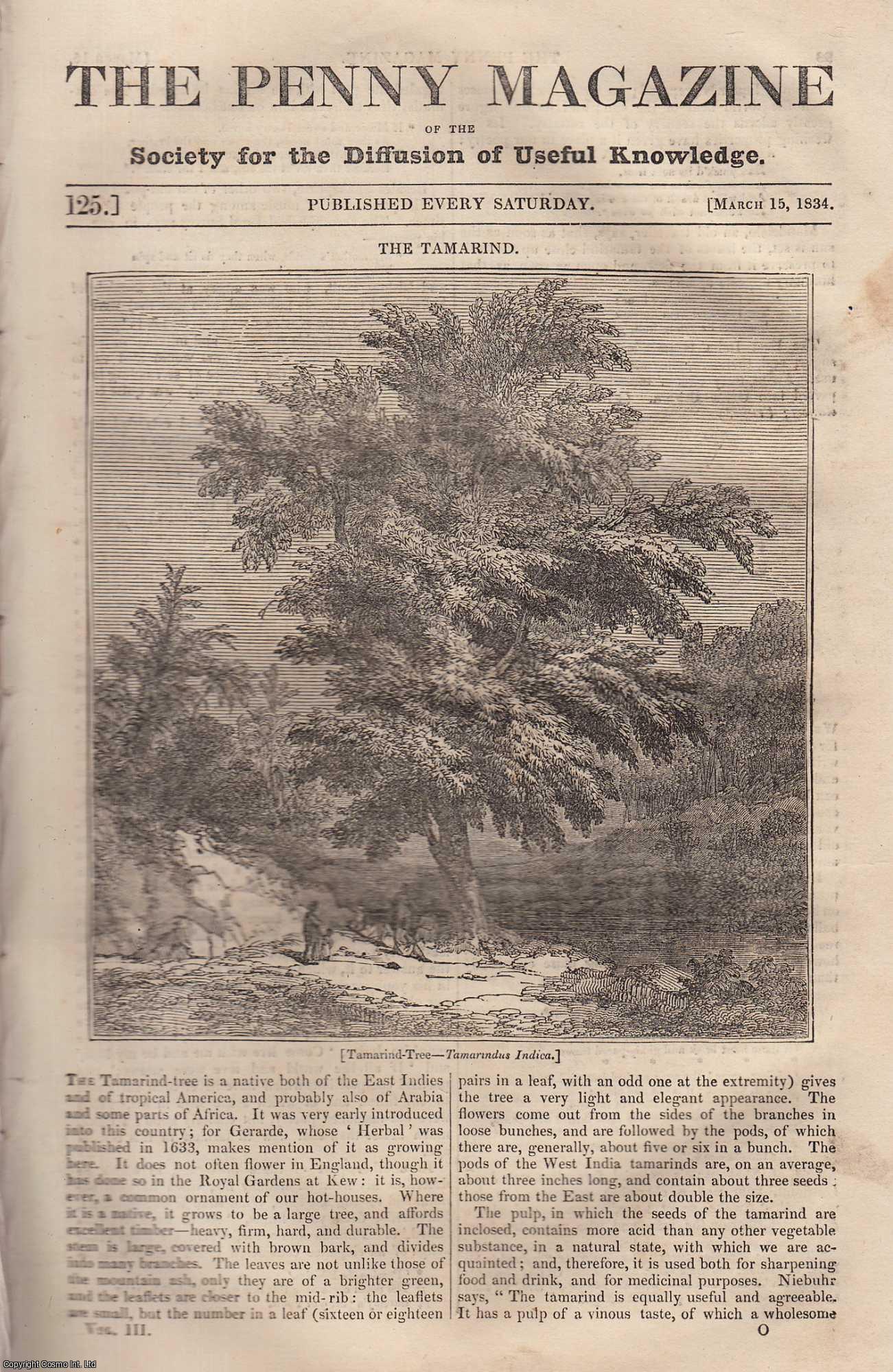 Penny Magazine - The Tamarind Tree (native of the East Indies); The Town of Halifax, Yorkshire; Norwich Castle, etc. Issue No. 125, March 15th, 1834. A complete original weekly issue of the Penny Magazine, 1834.