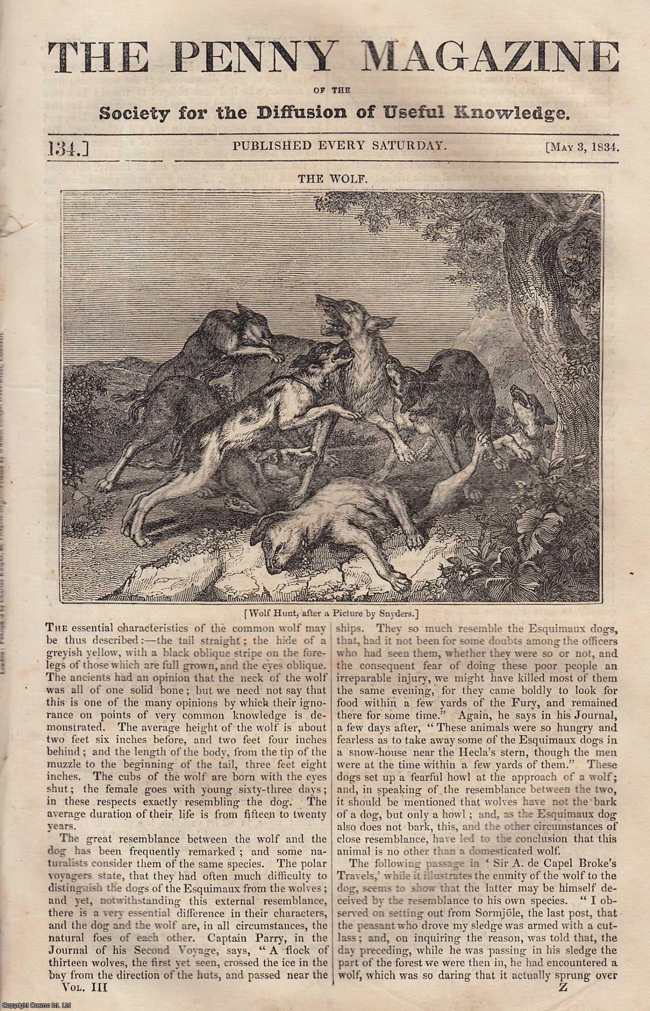 Penny Magazine - The Wolf (wolf hunt); Cemeteries (Grand Cairo); The Loss of The Royal George, etc. Issue No. 134, May 3rd, 1834. A complete original weekly issue of the Penny Magazine, 1834.