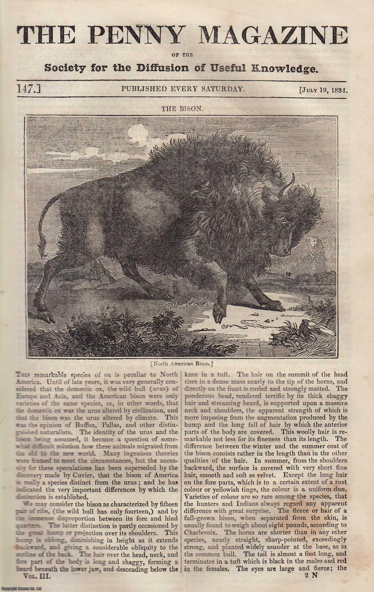 Penny Magazine - The North American Bison (ox); The Island of Capri (Naples); The Bobbin-Net Manufacture (lace making machine), etc. Issue No. 147, July 19th, 1834. A complete original weekly issue of the Penny Magazine, 1834.
