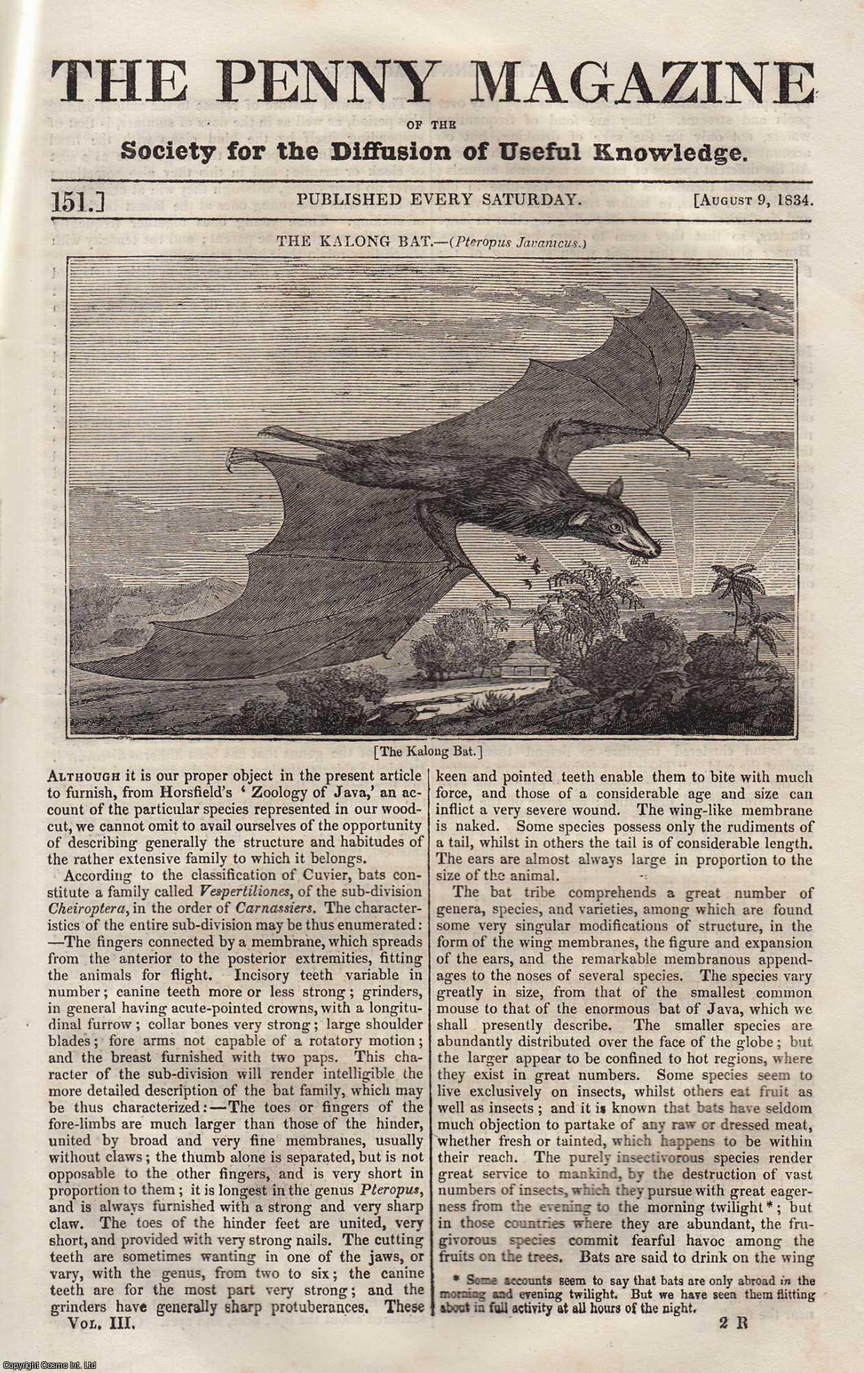 --- - The Kalong Bat (Pteropus Javanicus); Sueno's Pillar at Forres; John Sackheuse, The Esquimaux; The Town of Nauplia, etc. Issue No. 151, August 9th, 1834. A complete rare weekly issue of the Penny Magazine, 1834.